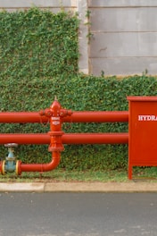 A red fire hydrant sitting next to a red fire hydrant