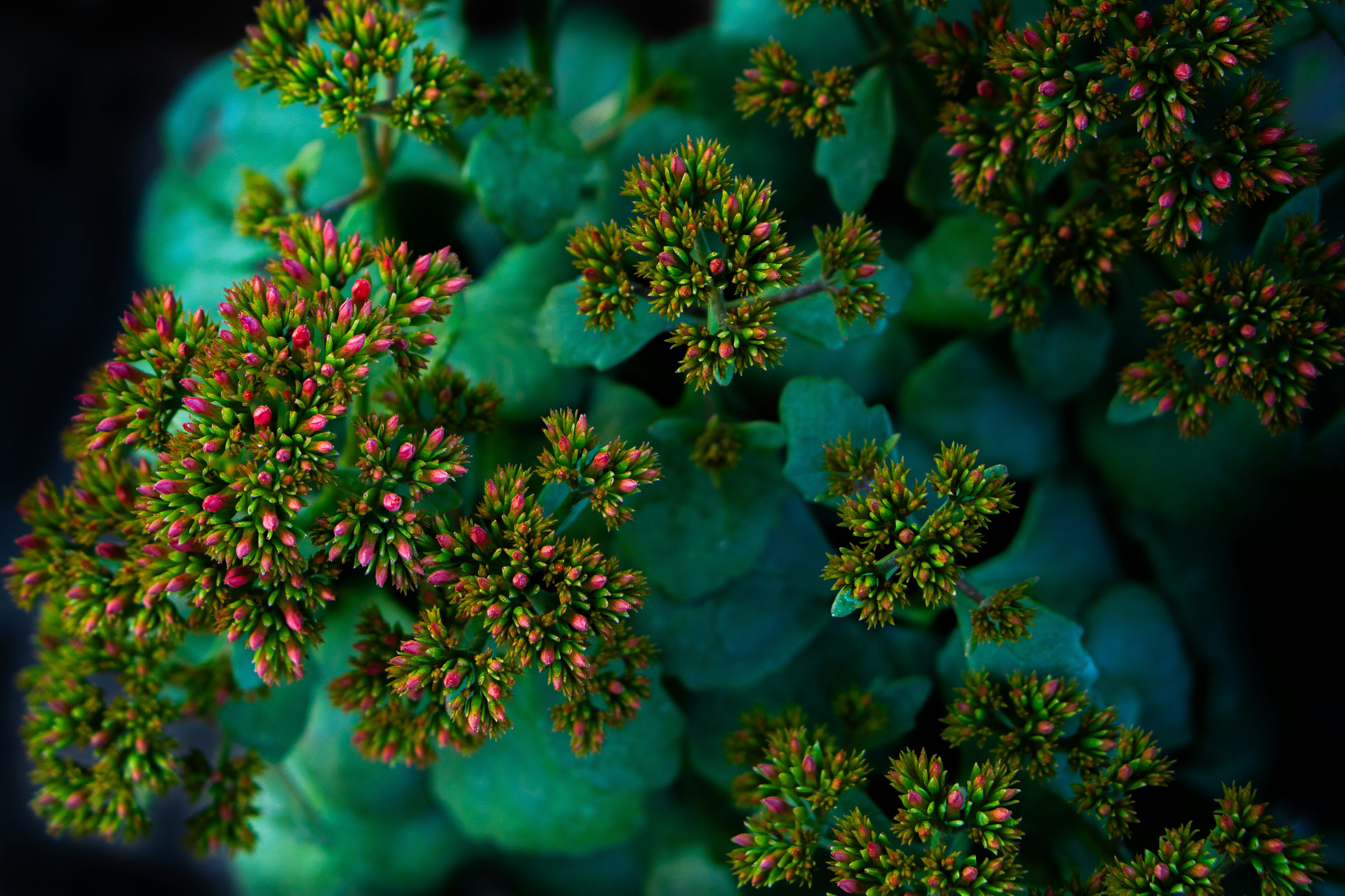 Photo by niko_nguyen_10