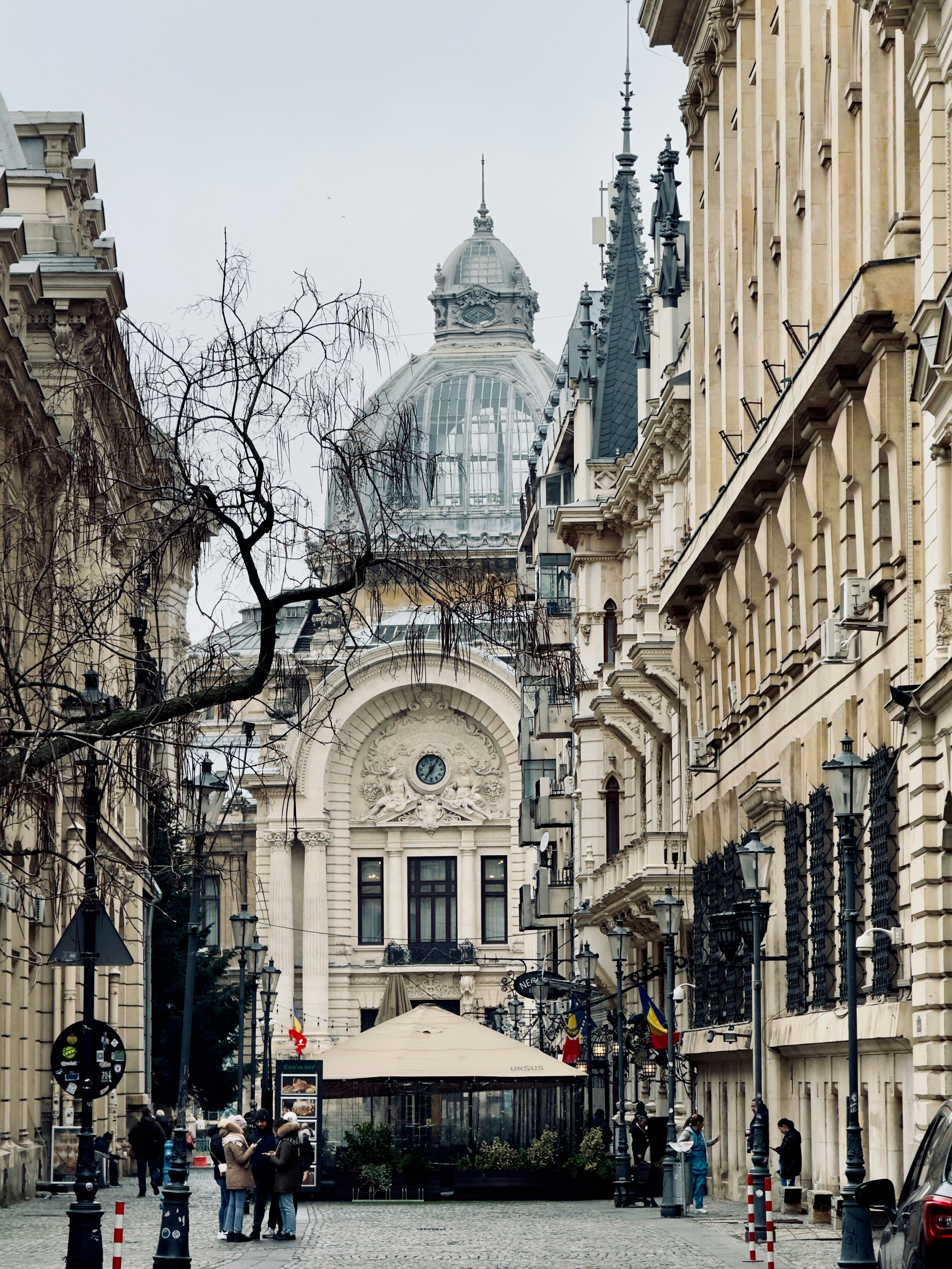 Photo by sarurobert1