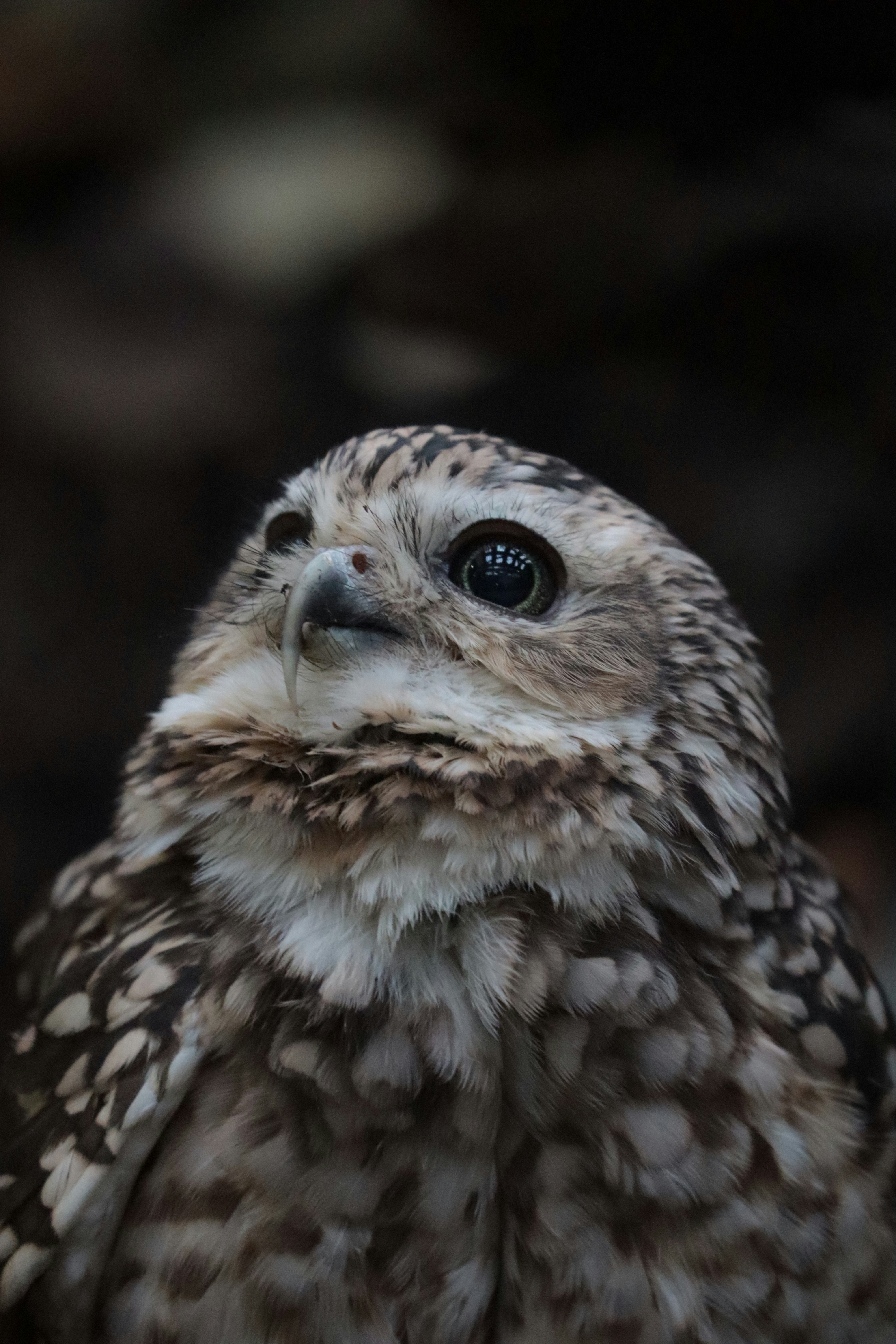 Photo by kccreations