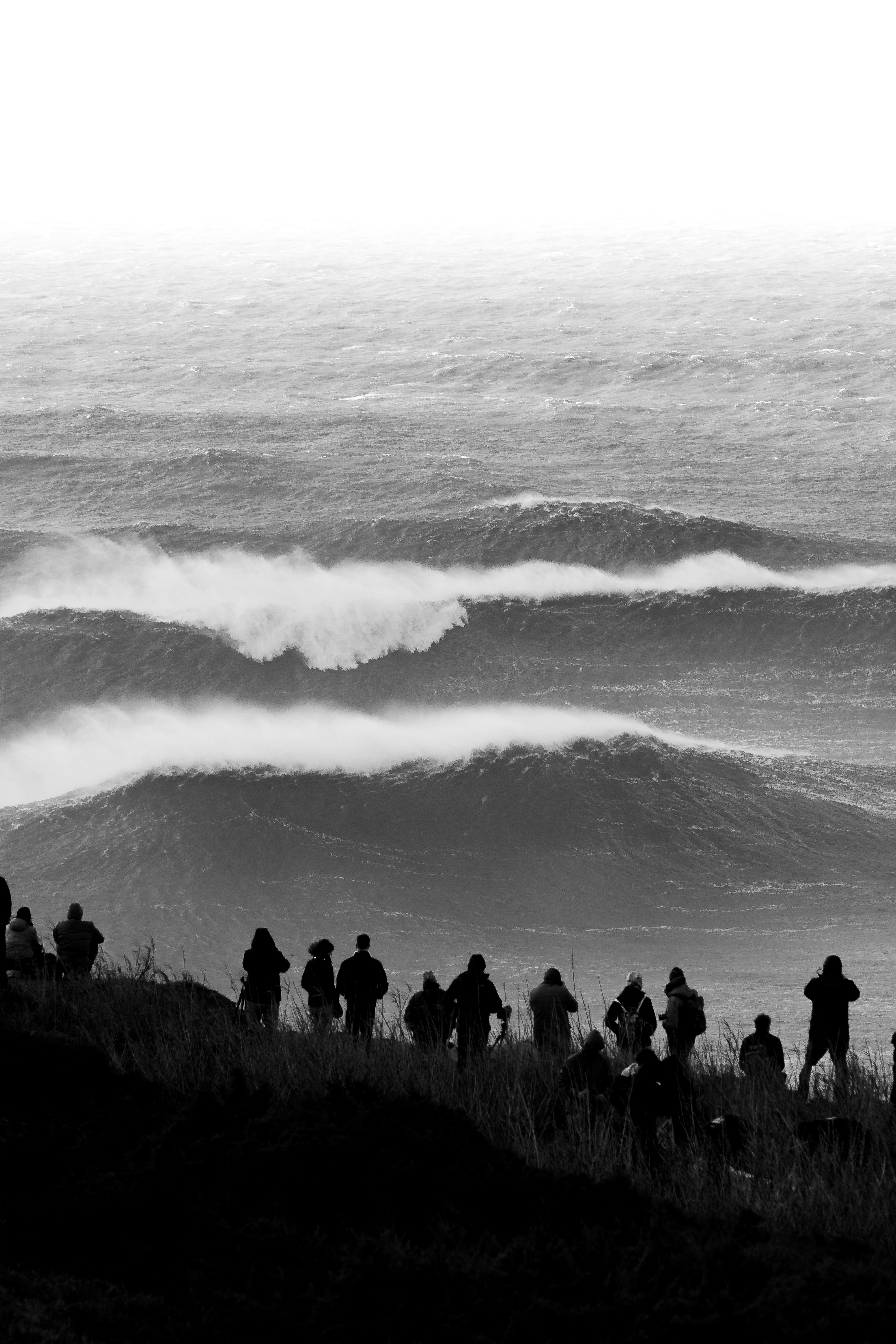 A group of people standing on top of a hill near the ocean