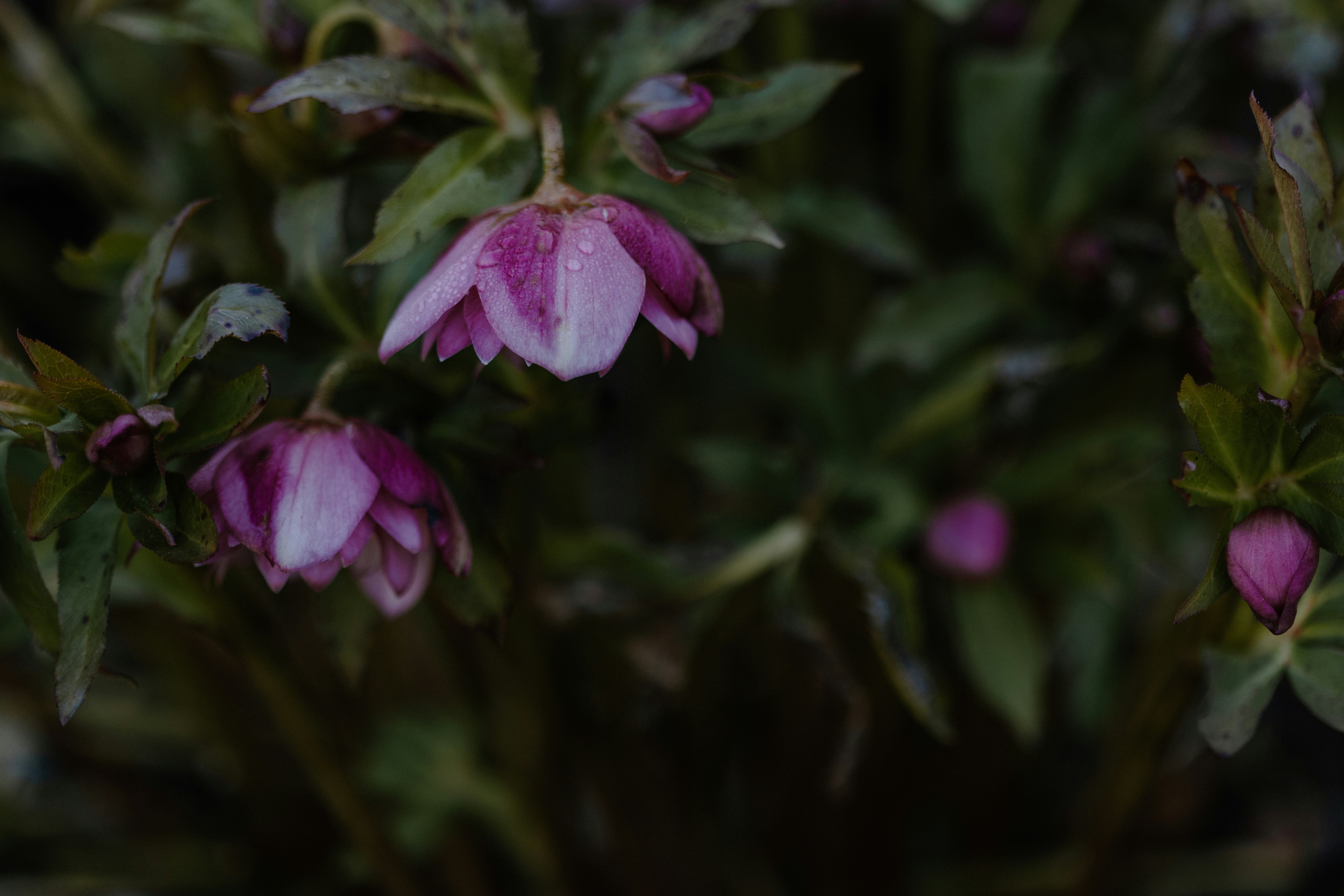 Photo by anniespratt
