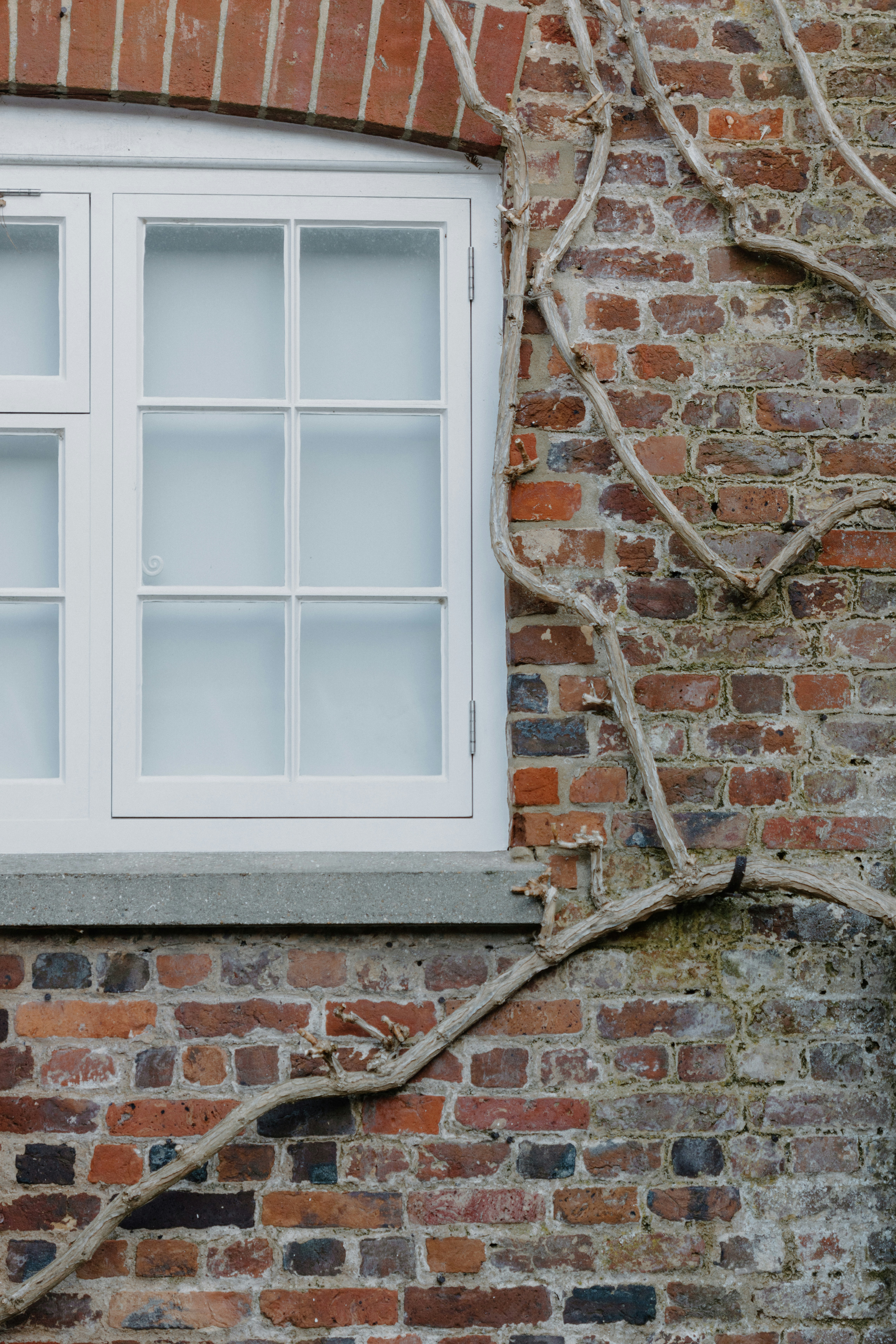 Photo by anniespratt