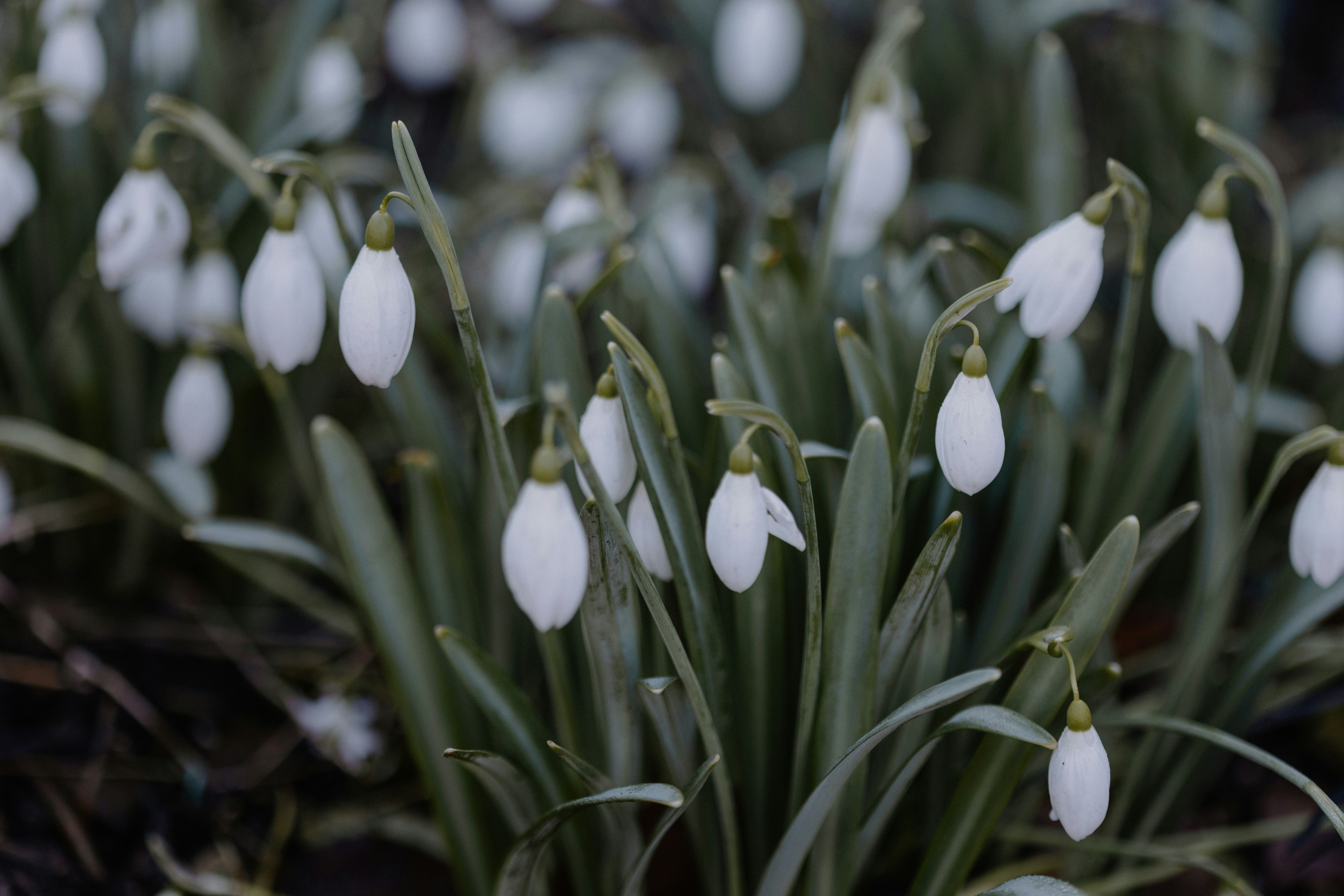 Photo by anniespratt