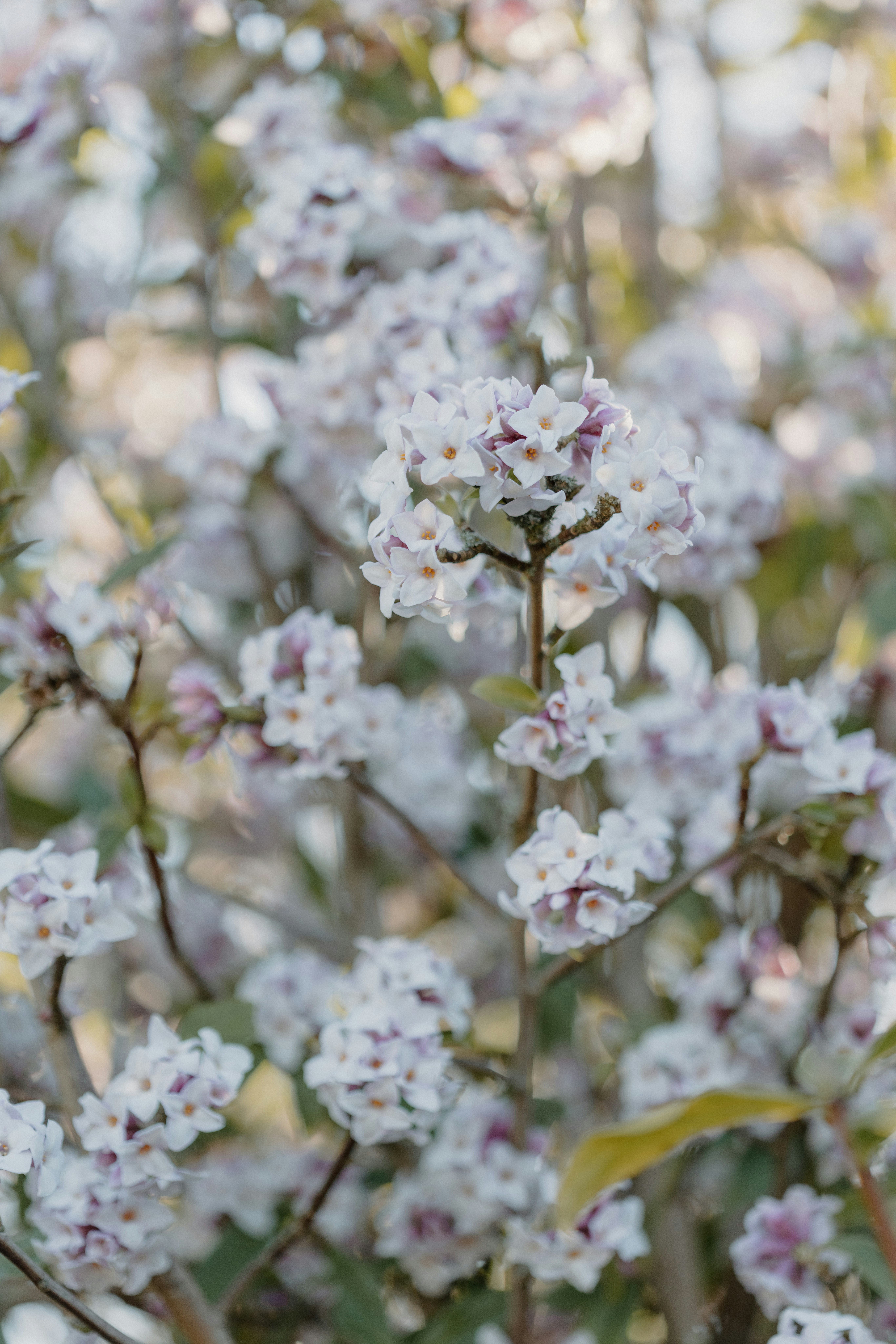 Photo by anniespratt