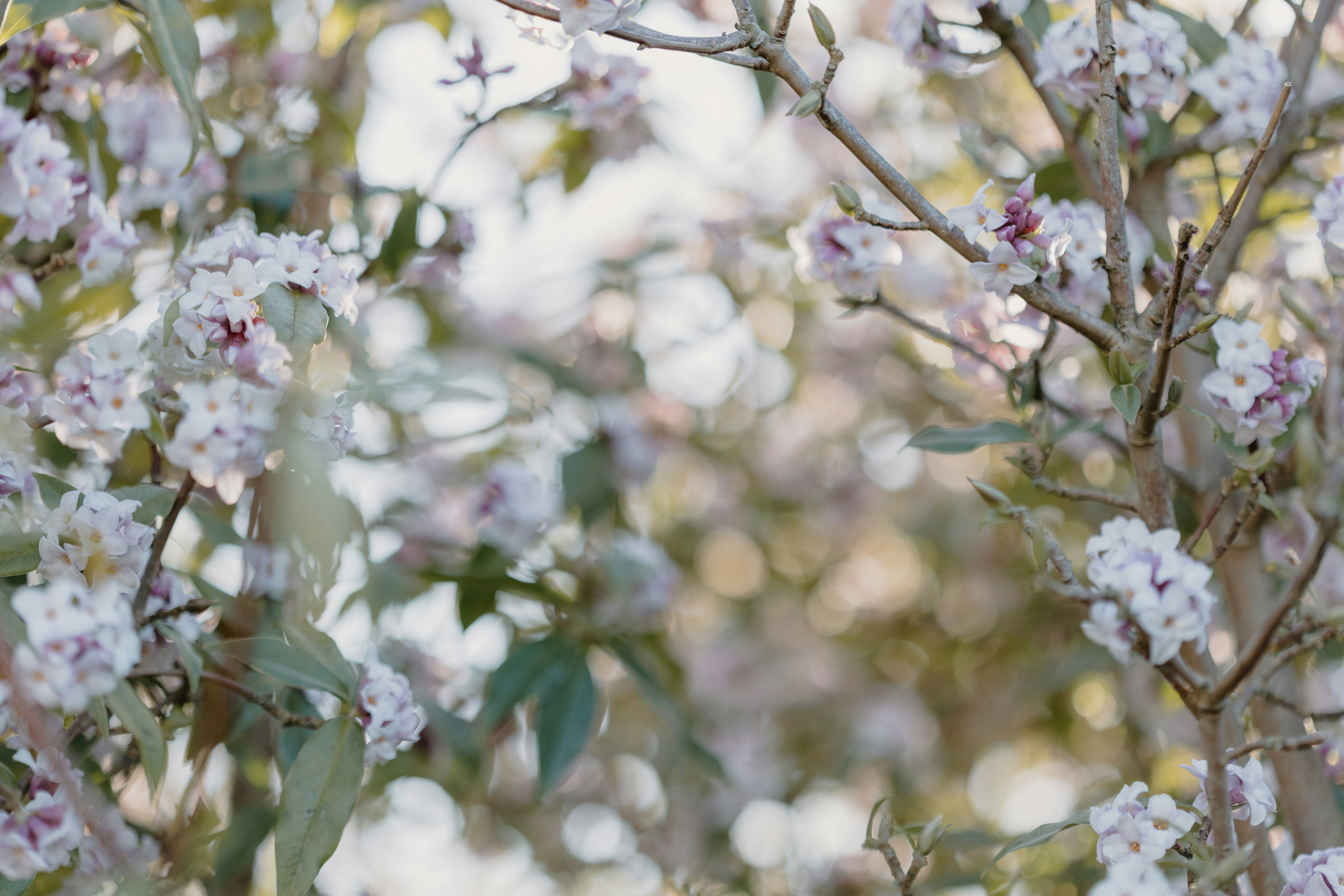 Photo by anniespratt