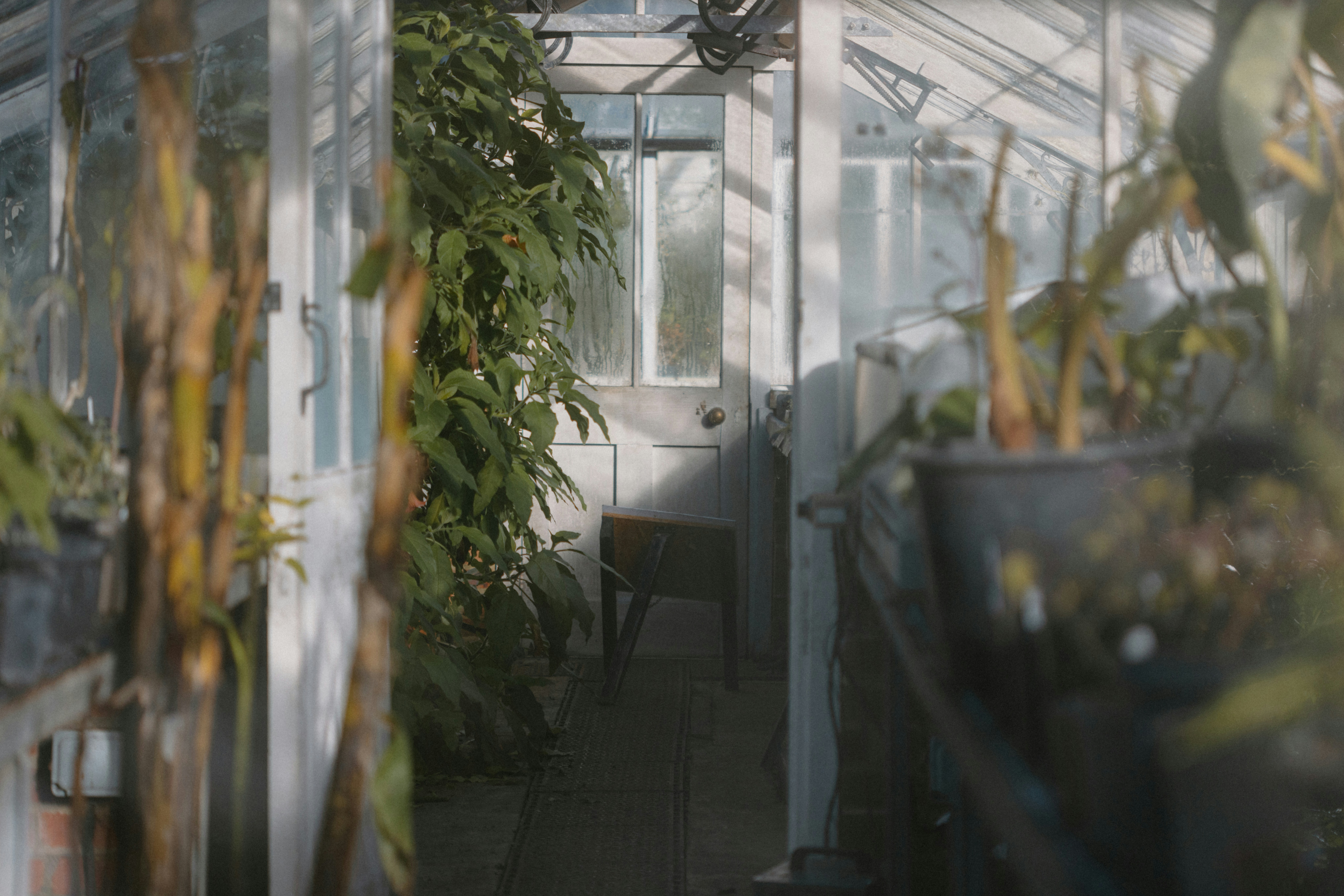 Photo by anniespratt