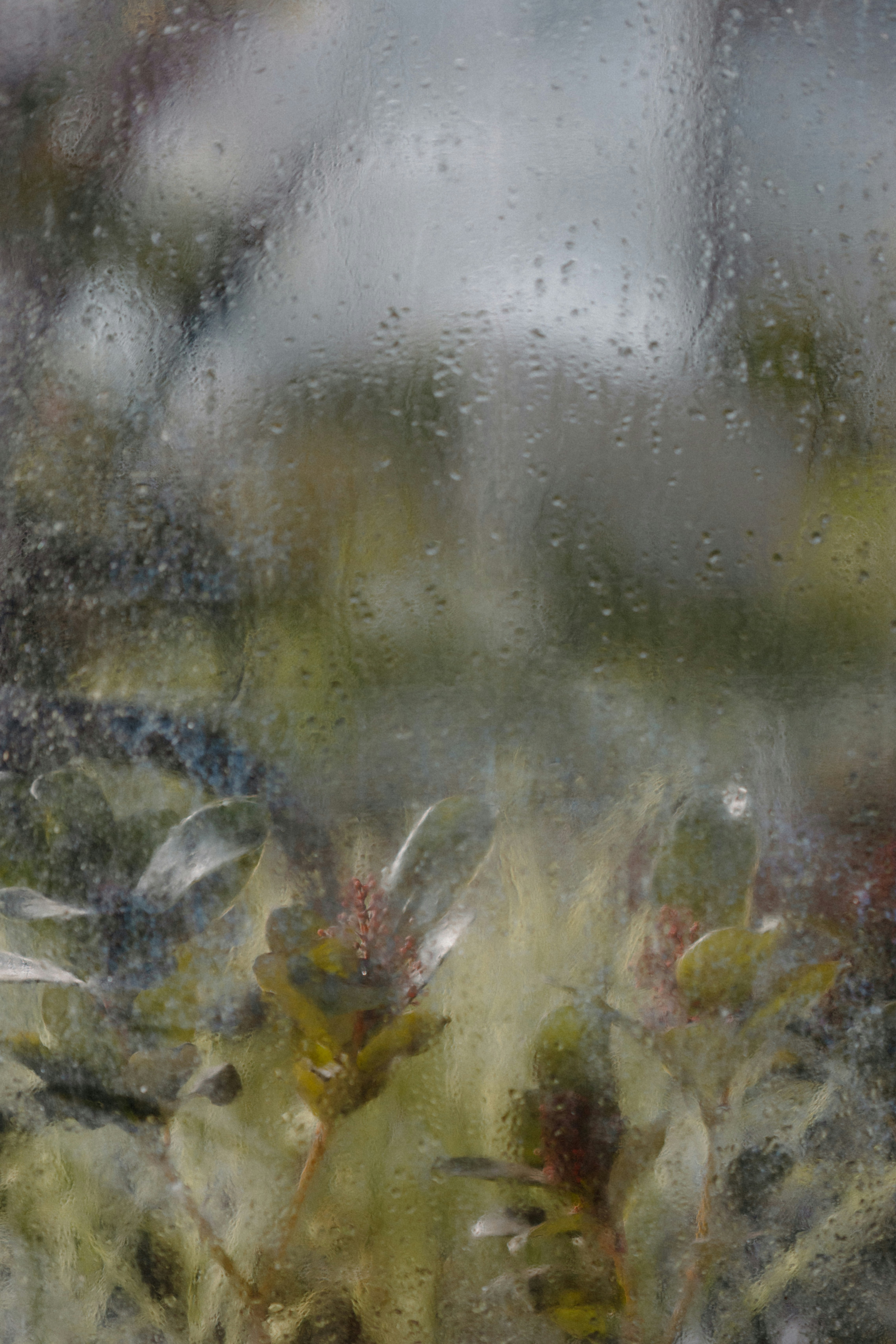 Water On Window Pictures | Download Free Images on Unsplash