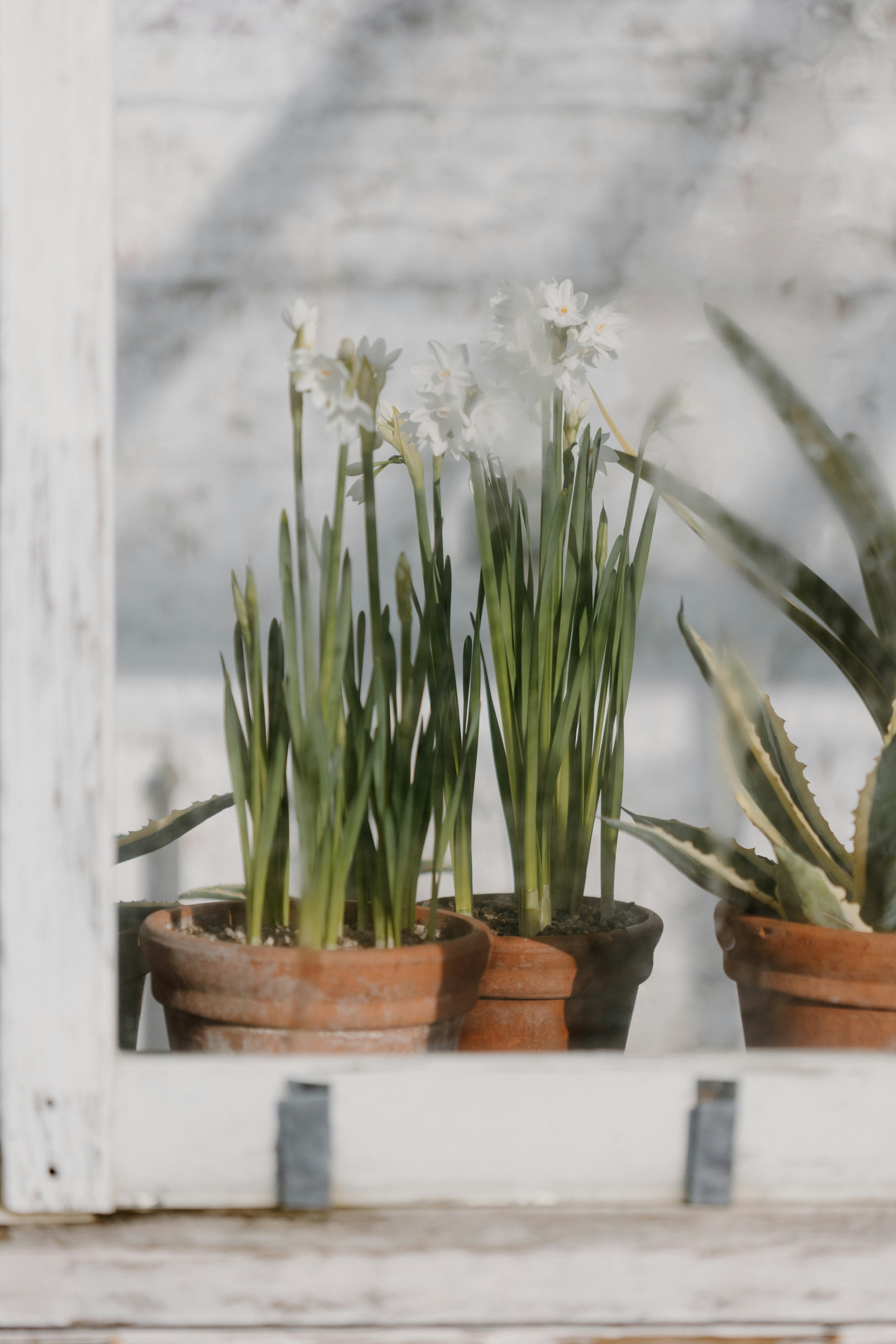 Photo by anniespratt