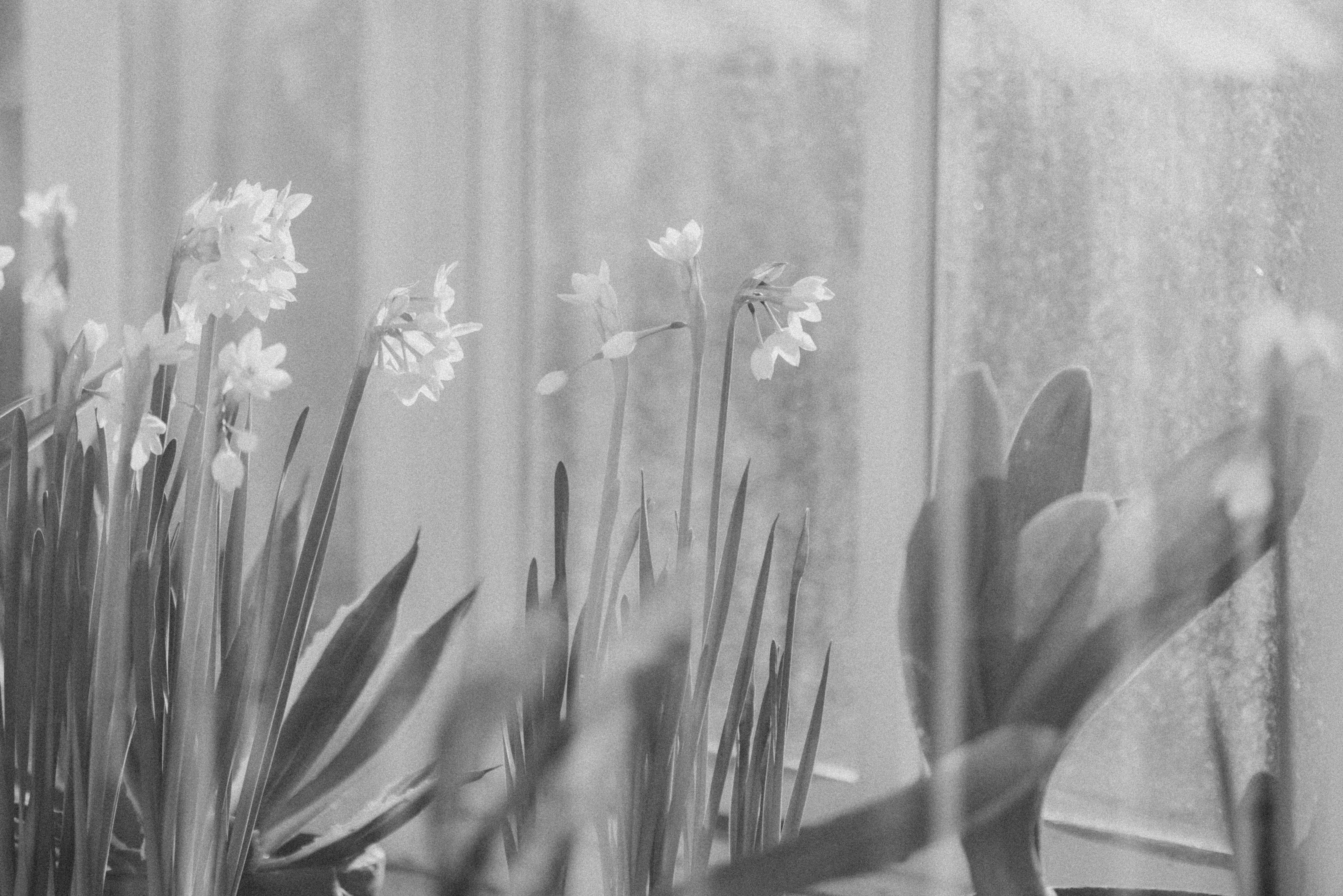 Photo by anniespratt