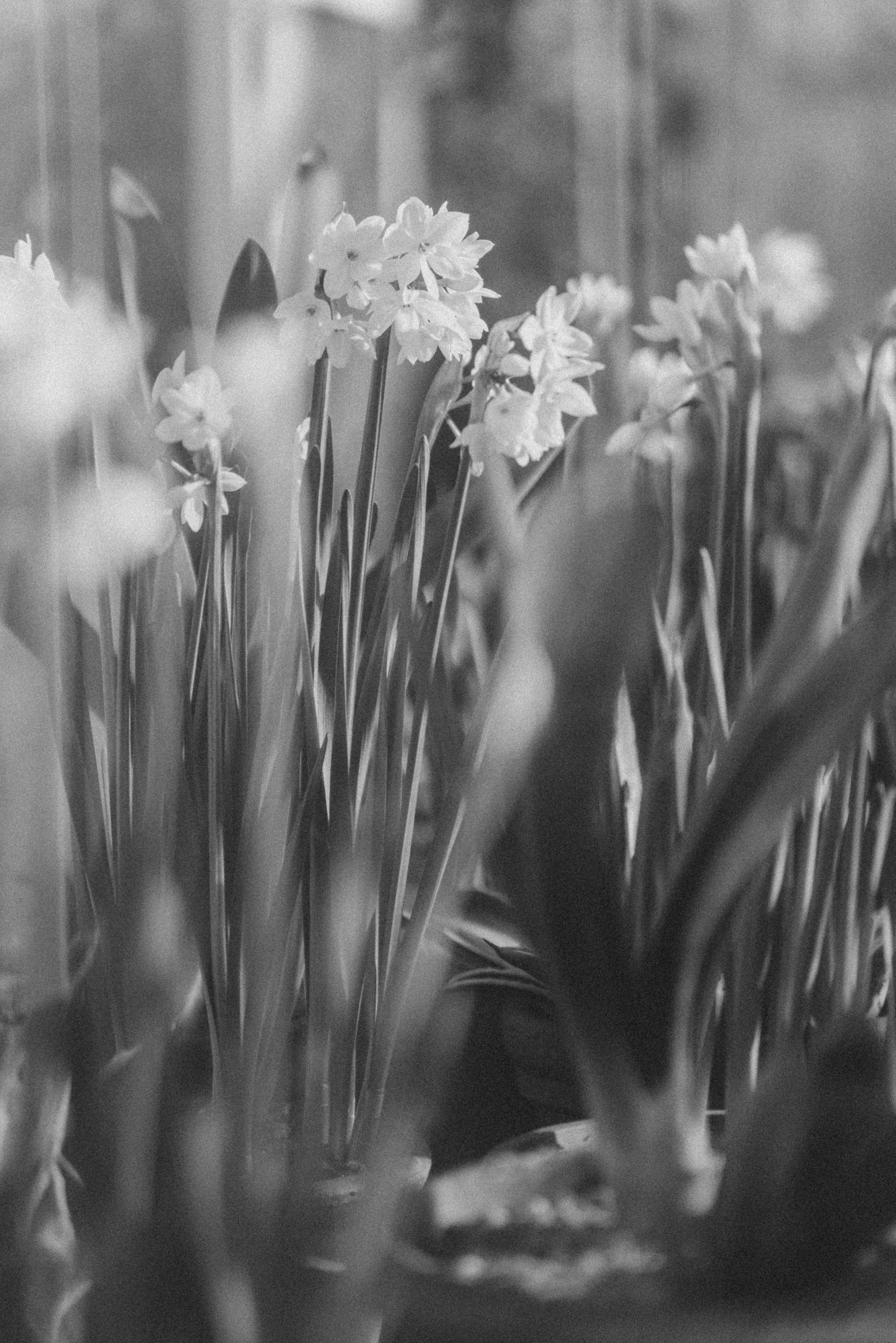 Photo by anniespratt