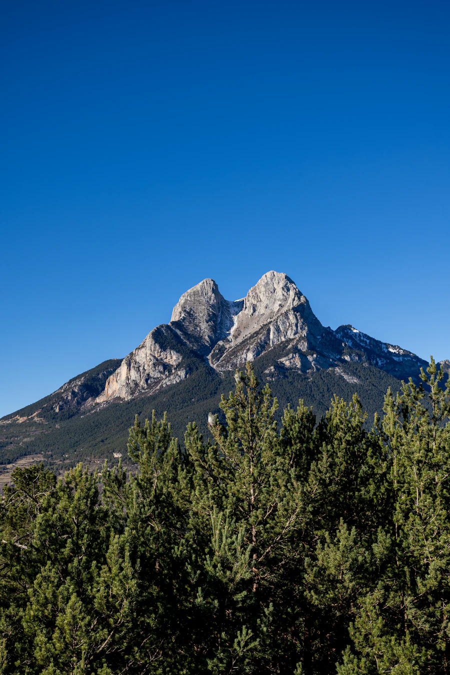 El Pedraforca, montaña bífida característica del Berguedà, con pinos en primer plano