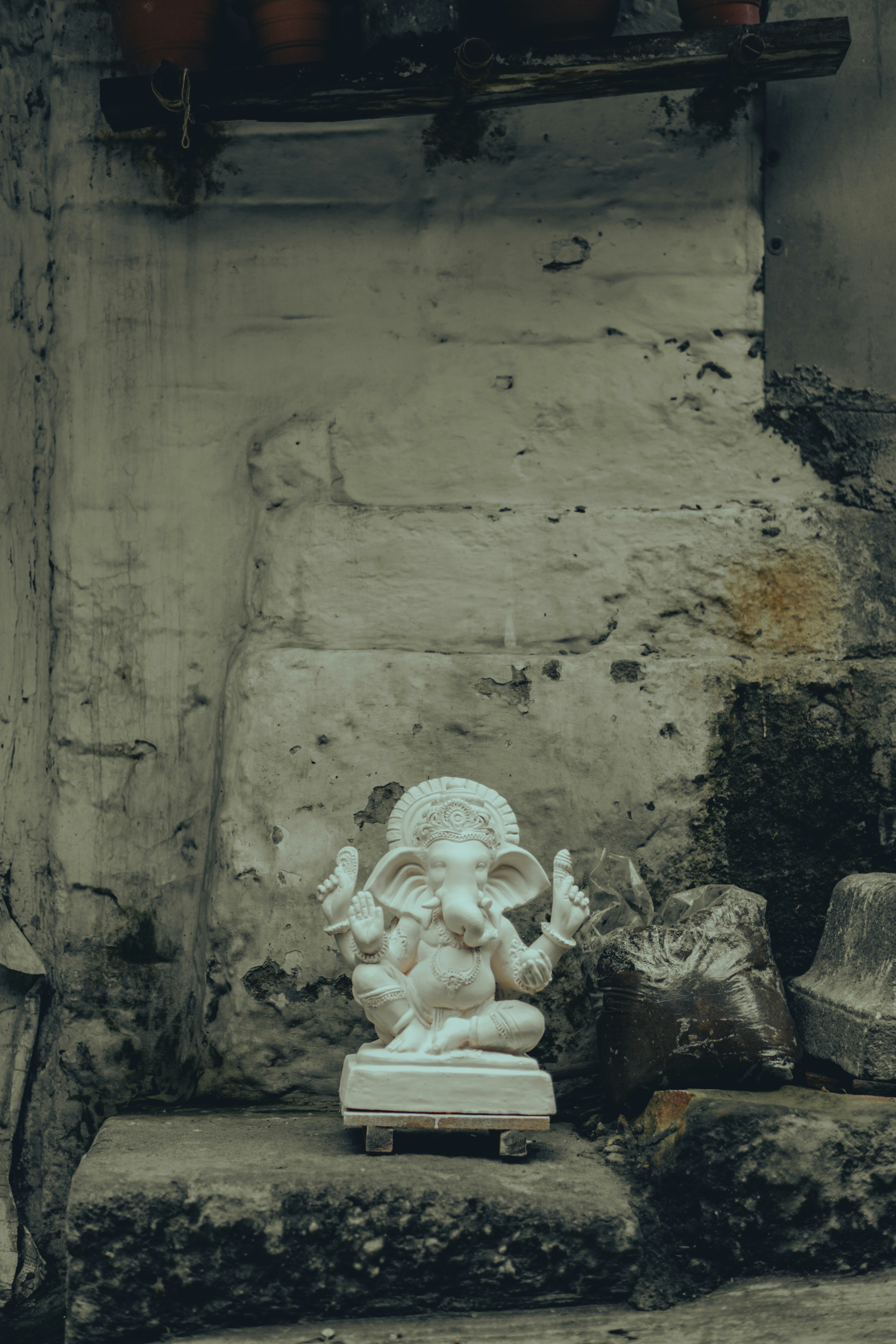 Photo by vedantpingle