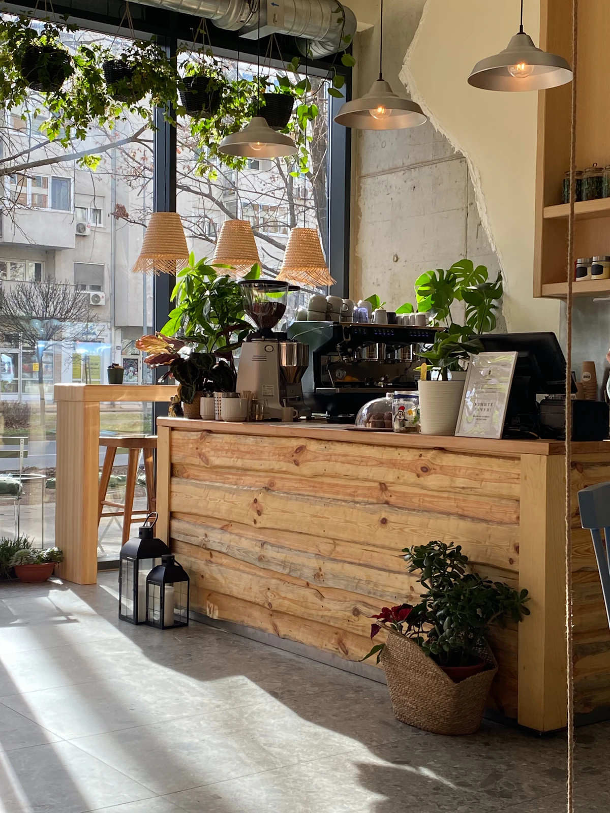 Coffee shop corner filled with potted plants