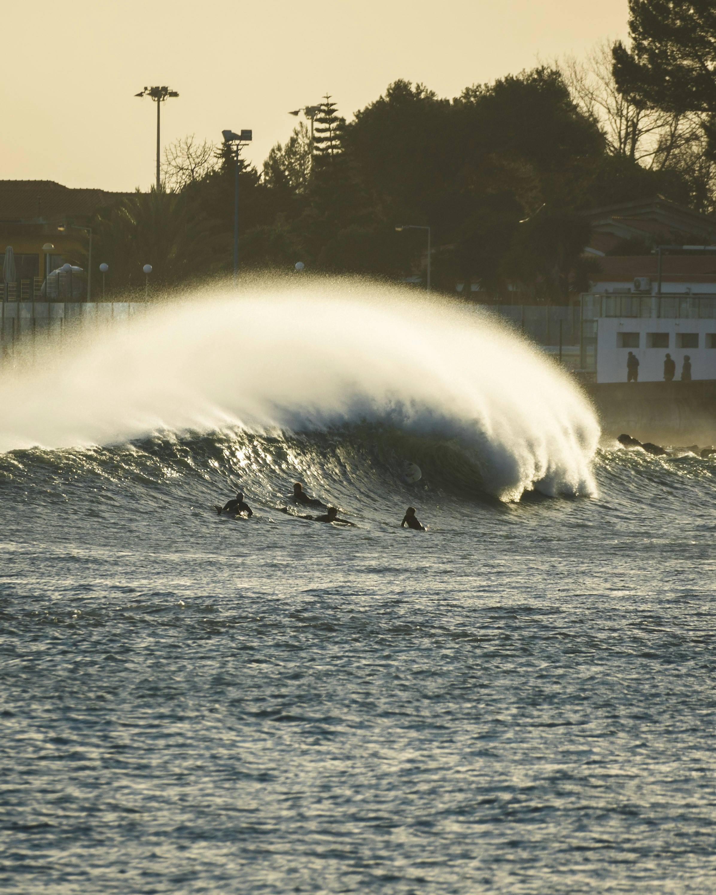 A group of people riding surfboards on top of a wave