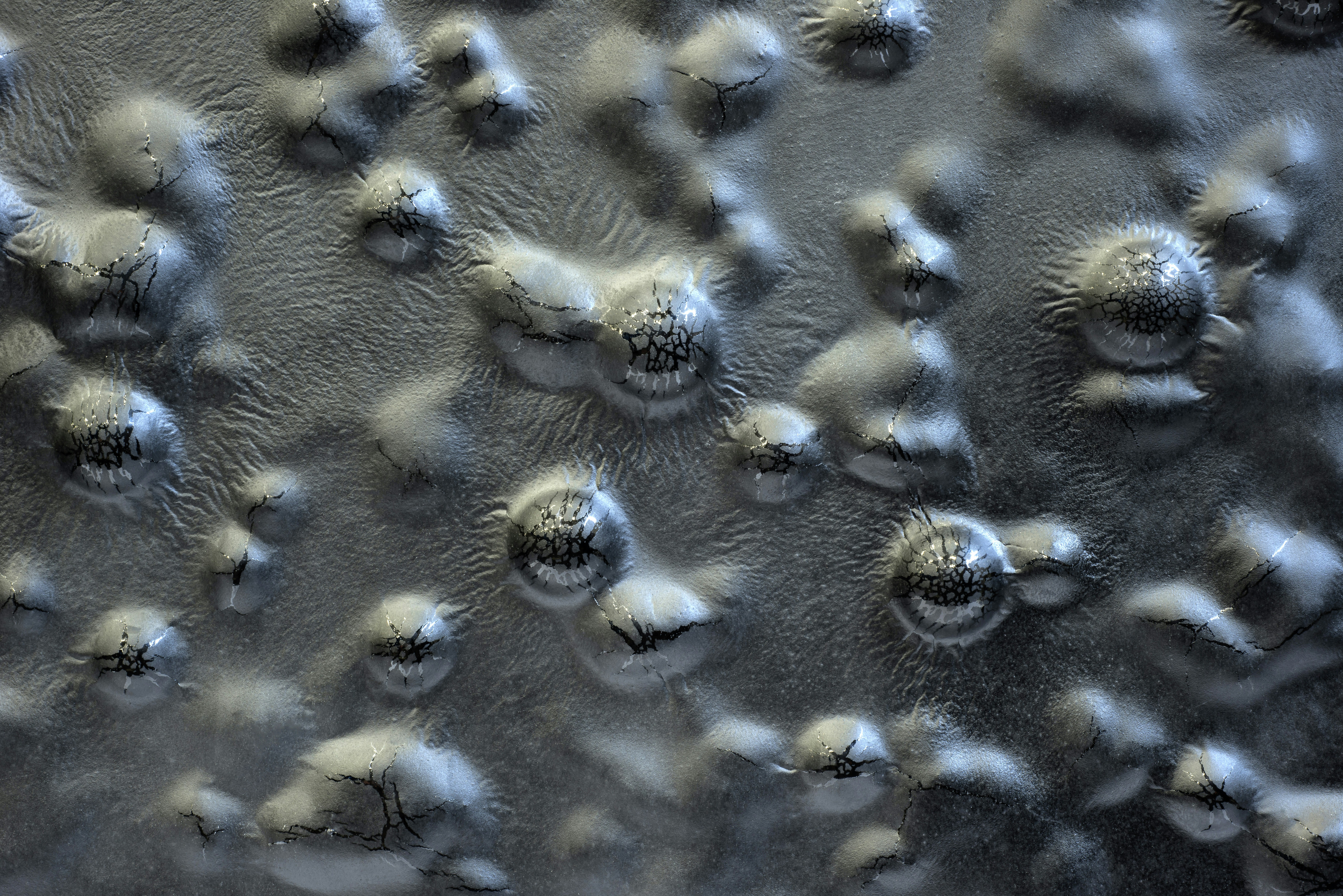 Advanced Selection: Managing Sensitive Evidence Chains and Habit‑Resilient Support for Scholarship Programs in 2026