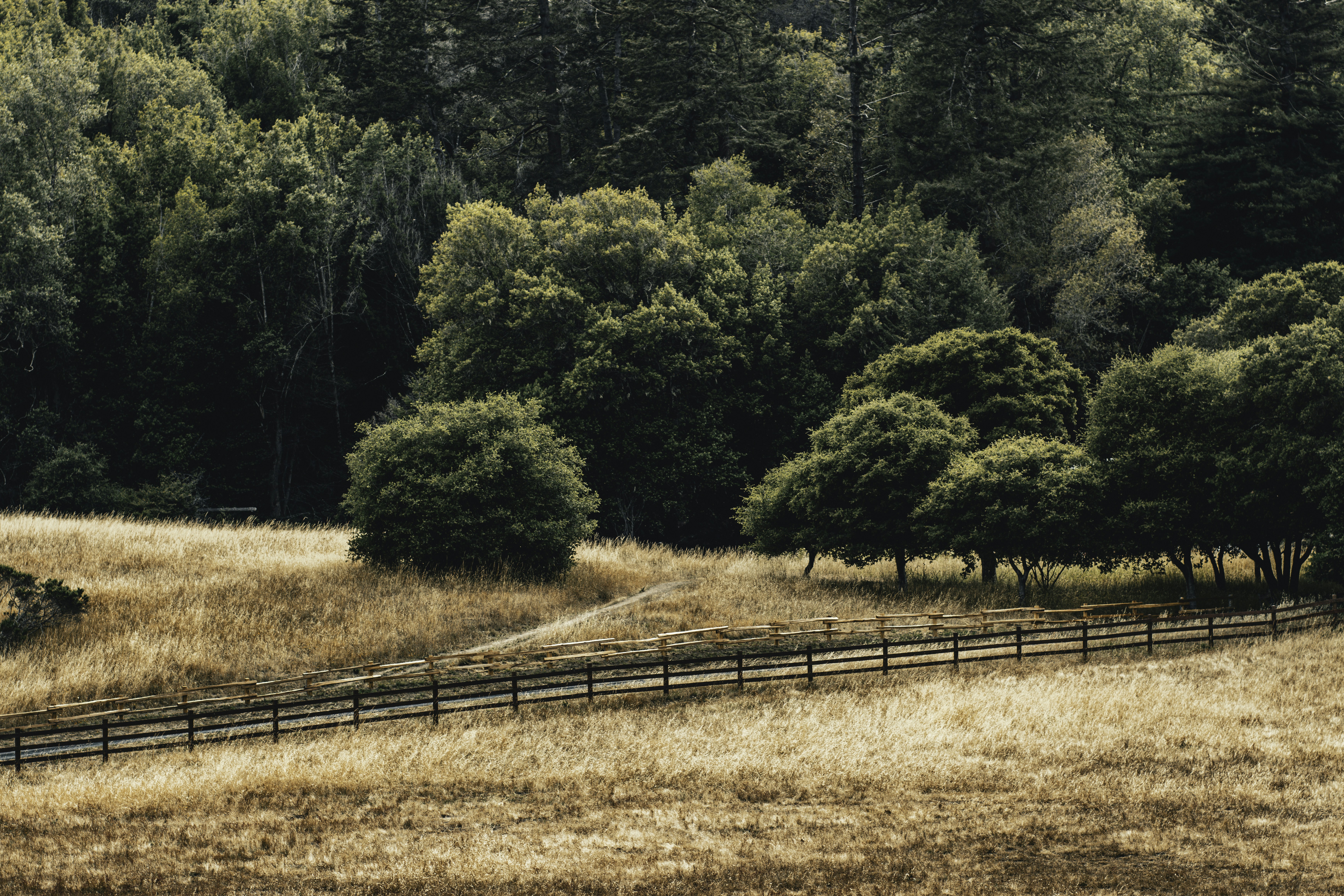 Photo by ashishdurgude