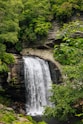 A waterfall in the middle of a lush green forest