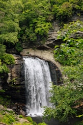 A waterfall in the middle of a lush green forest