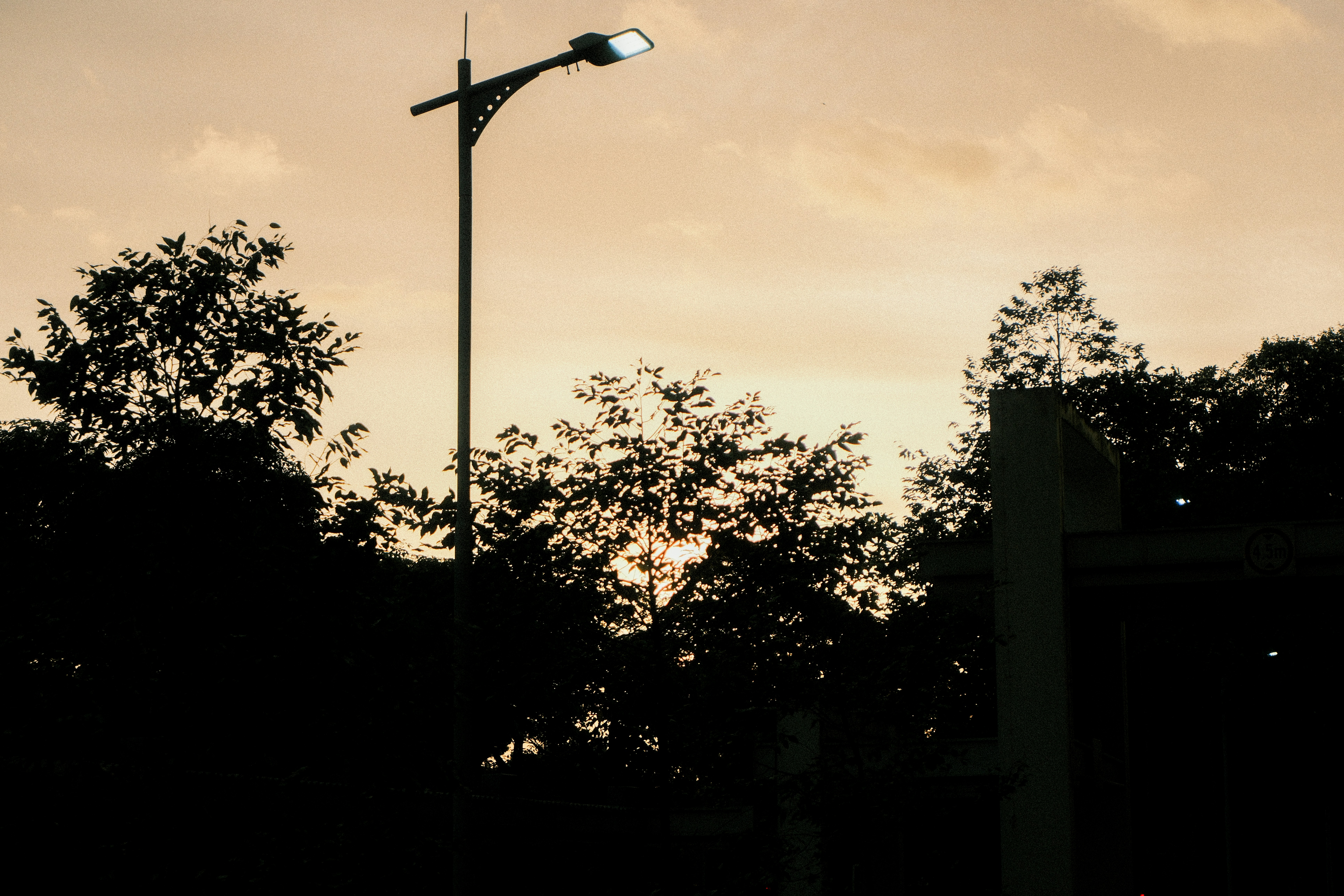 Photo by frankng