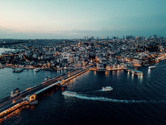 An aerial view of a city and a bridge
