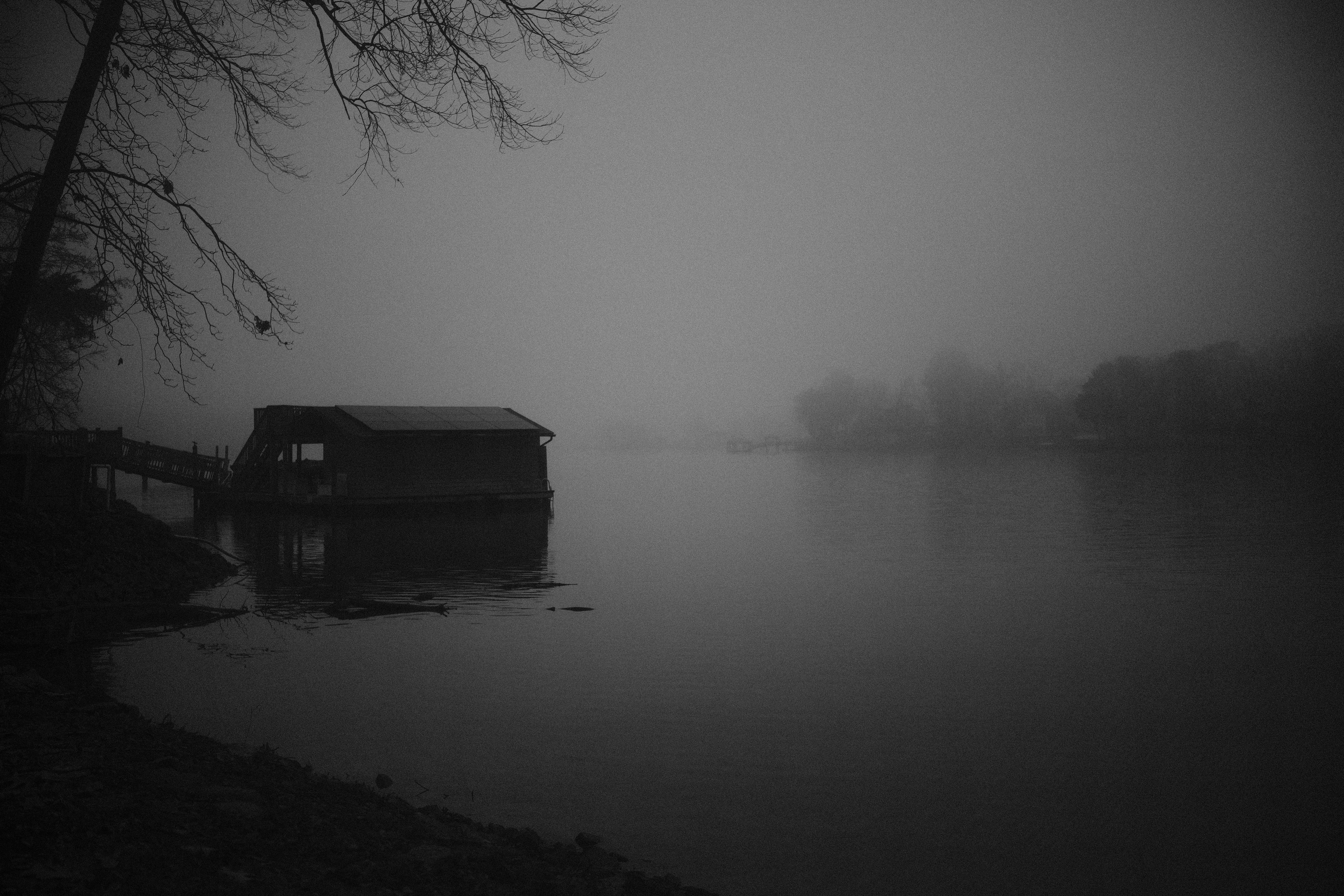 Photo by david_moorhouse