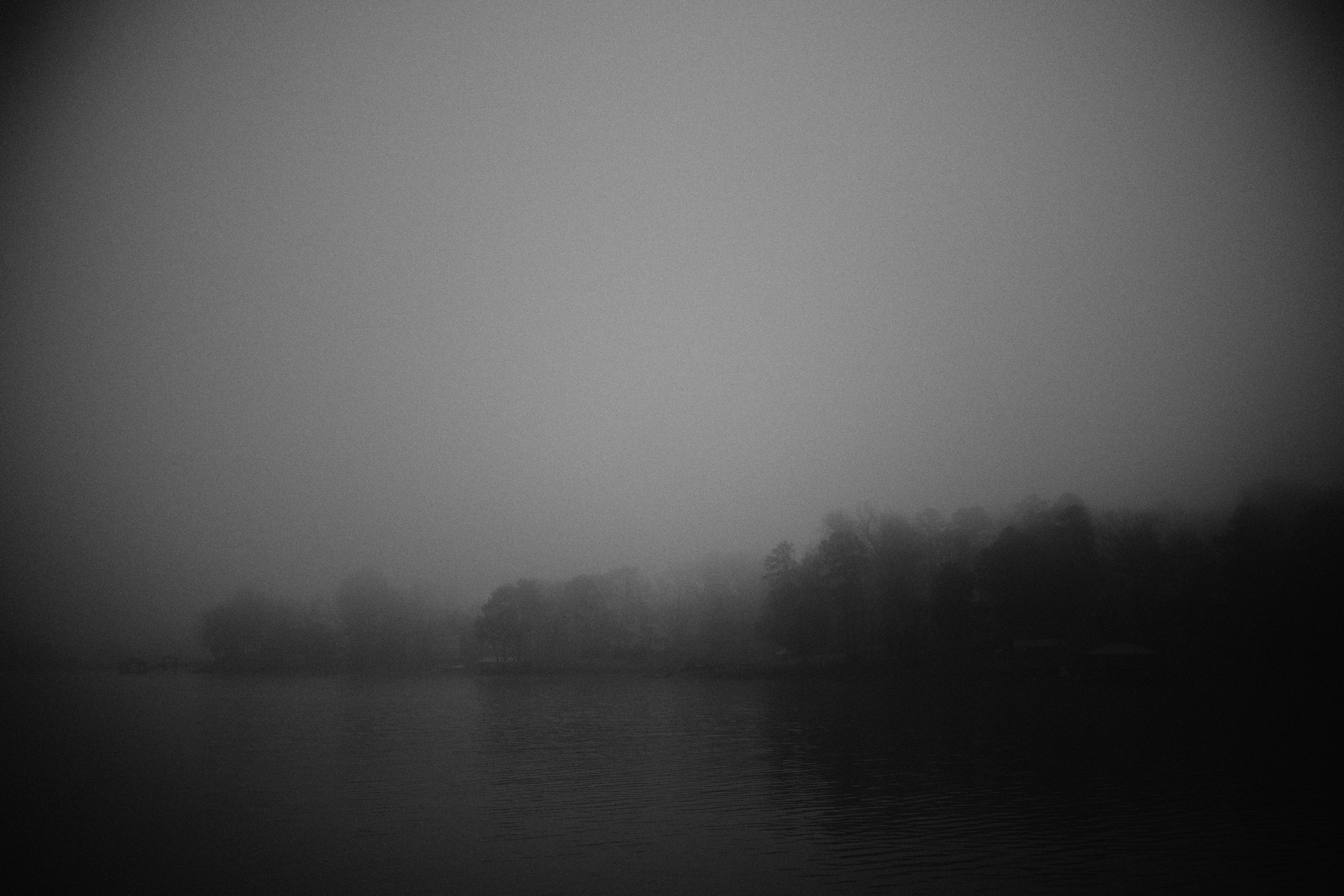 Photo by david_moorhouse