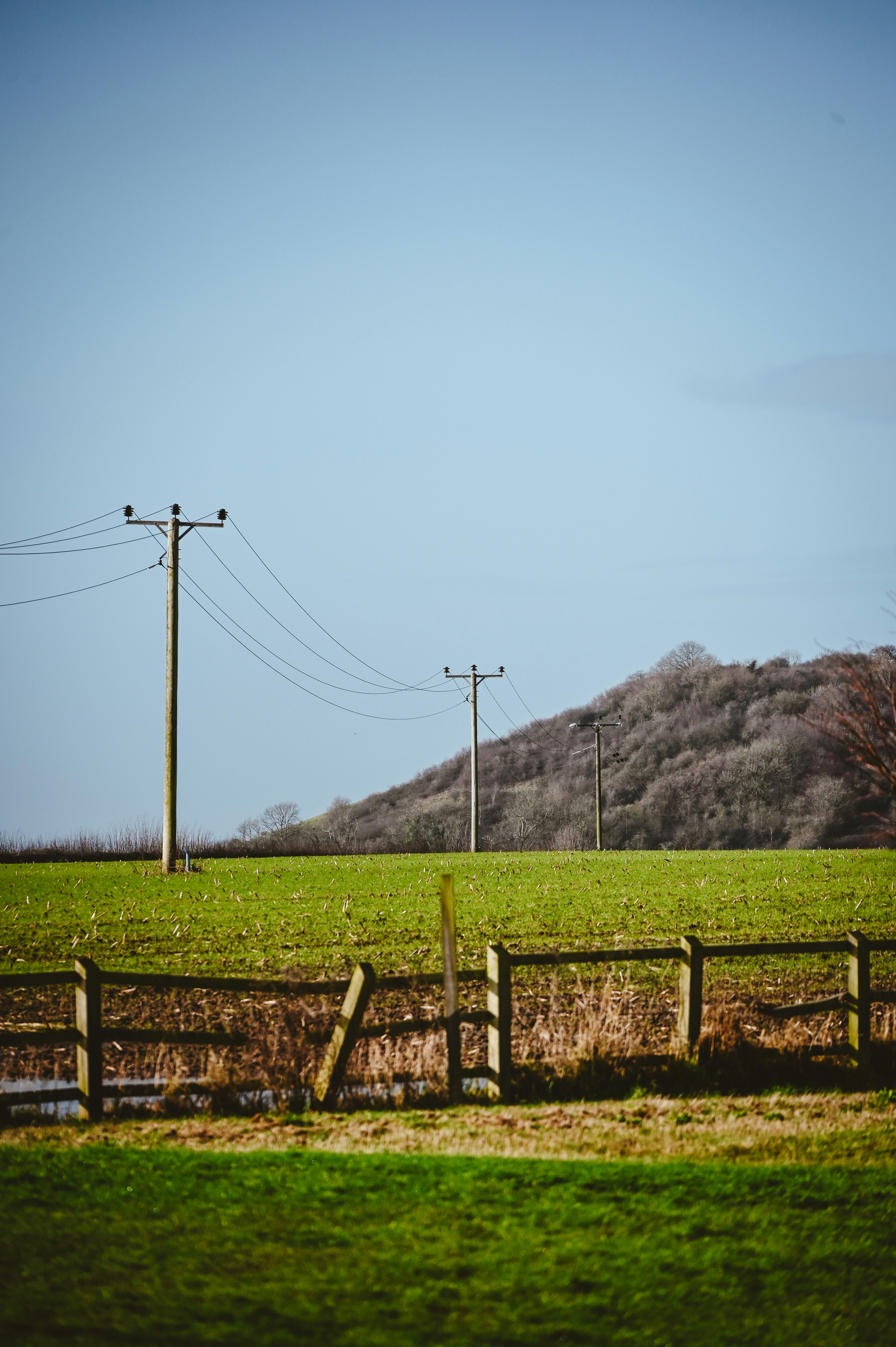A grassy field with a wooden fence in the foreground