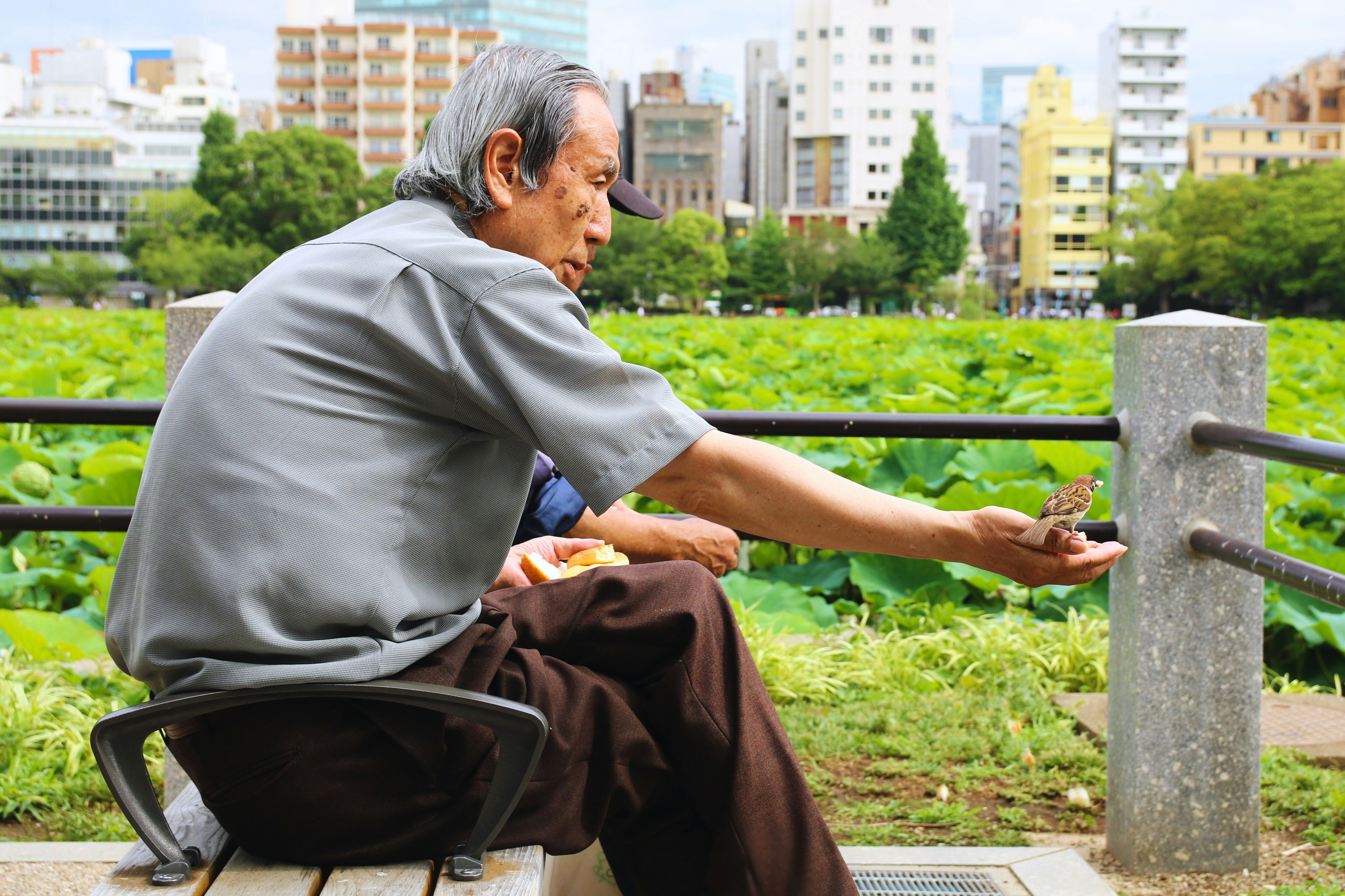 Japanese doctor speaking to patient, patient holding health insurance card