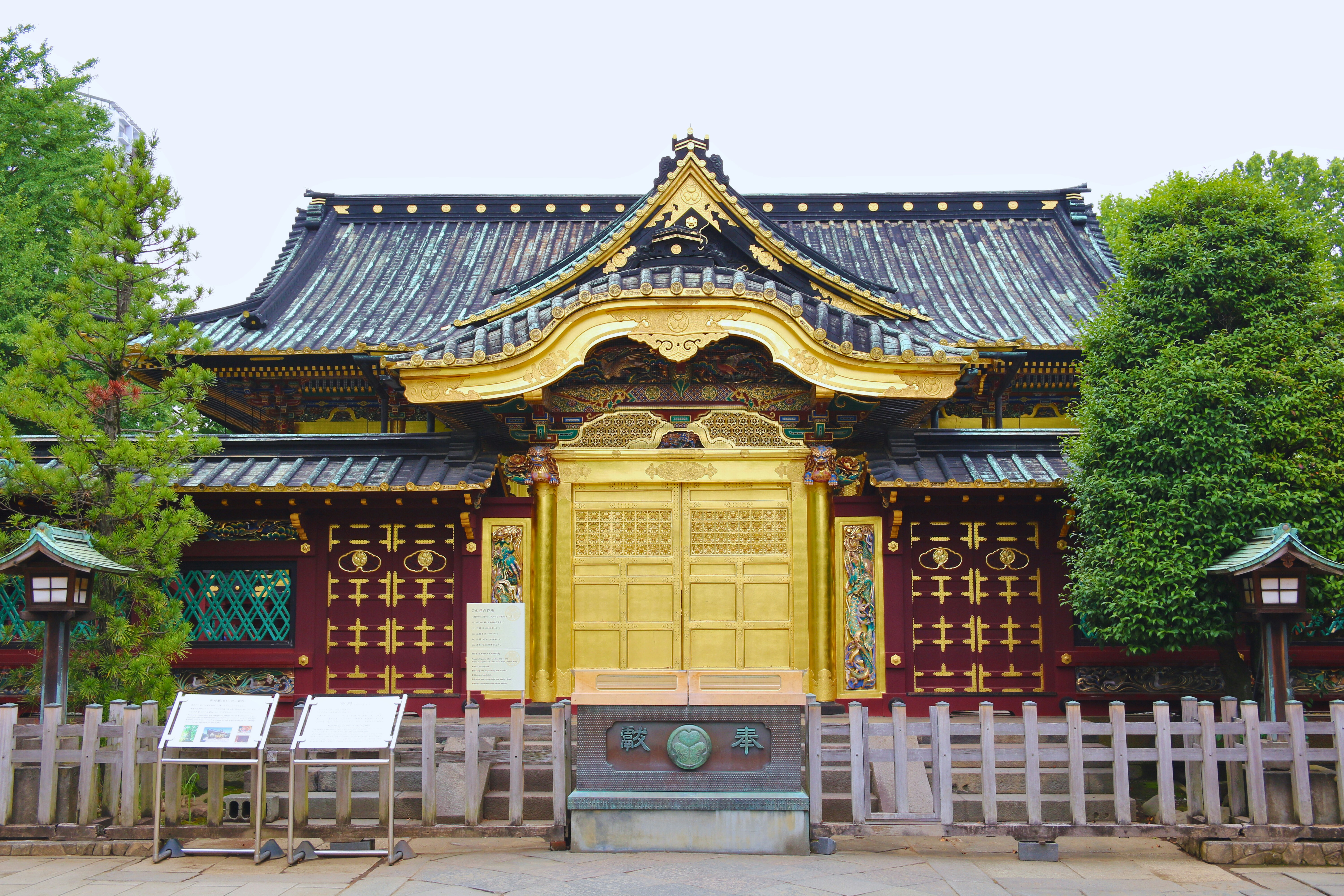 Photo by brunafisantos