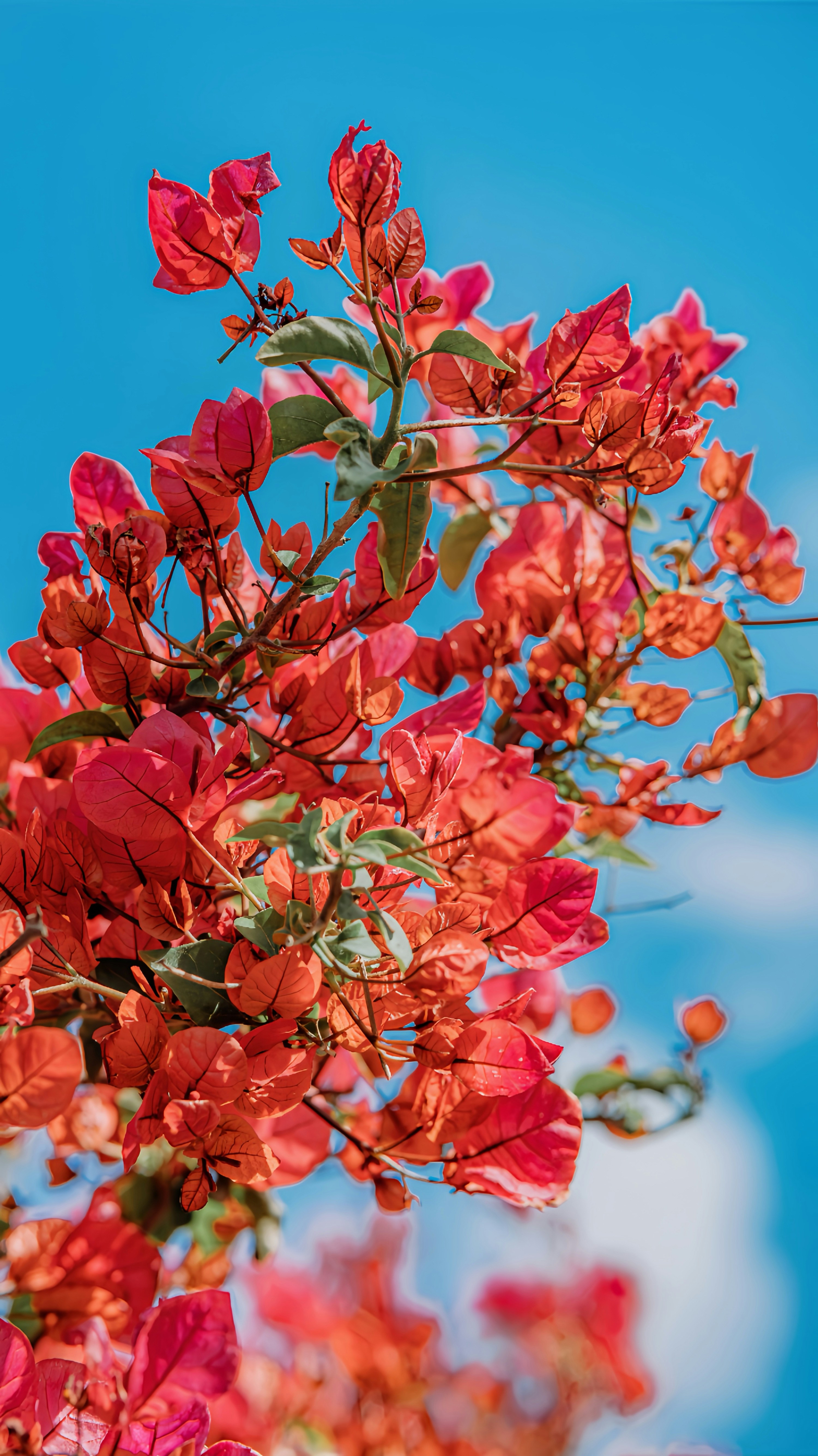 Photo by wangbinghua