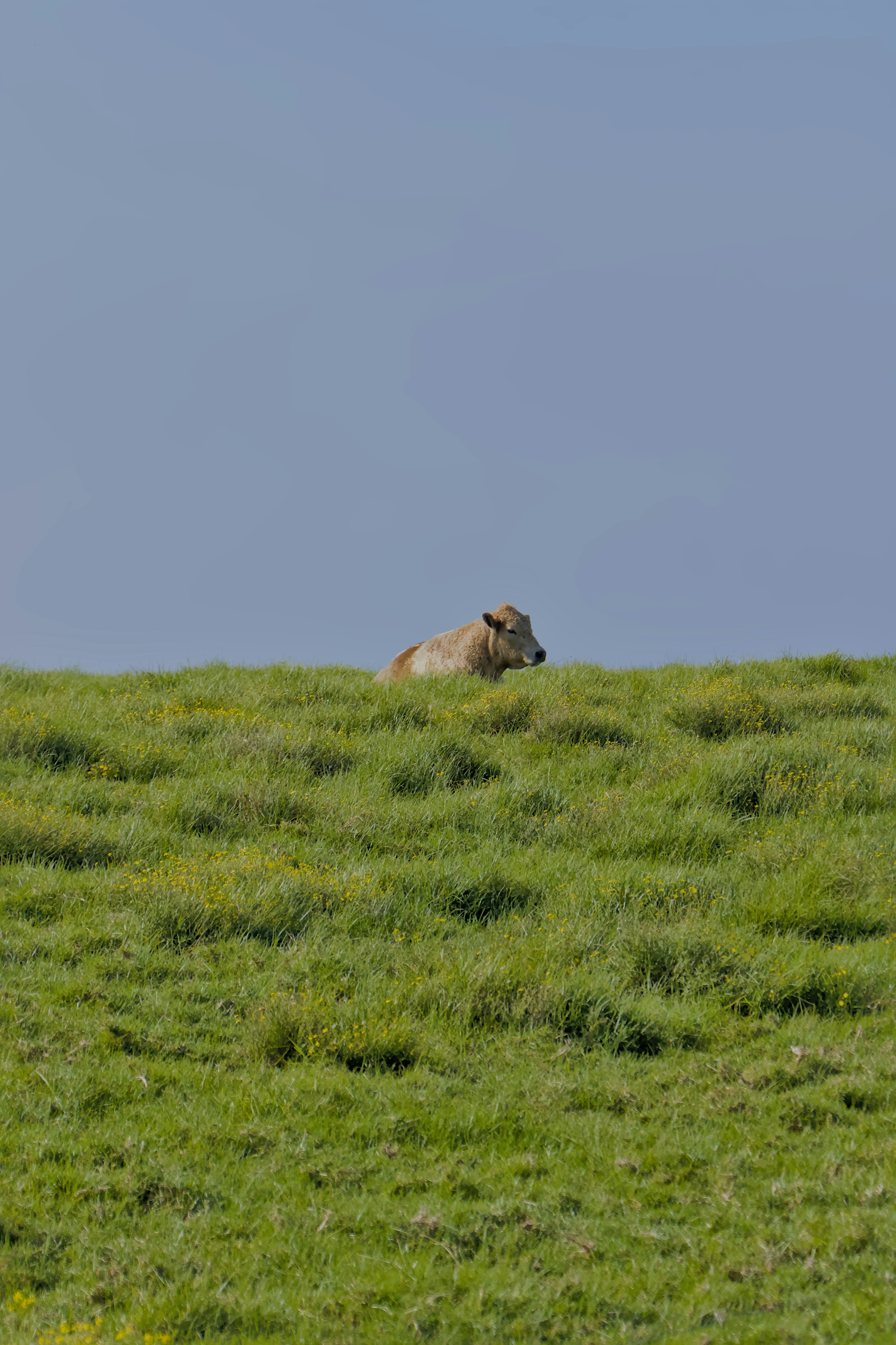 Photo by carbonmonoxide