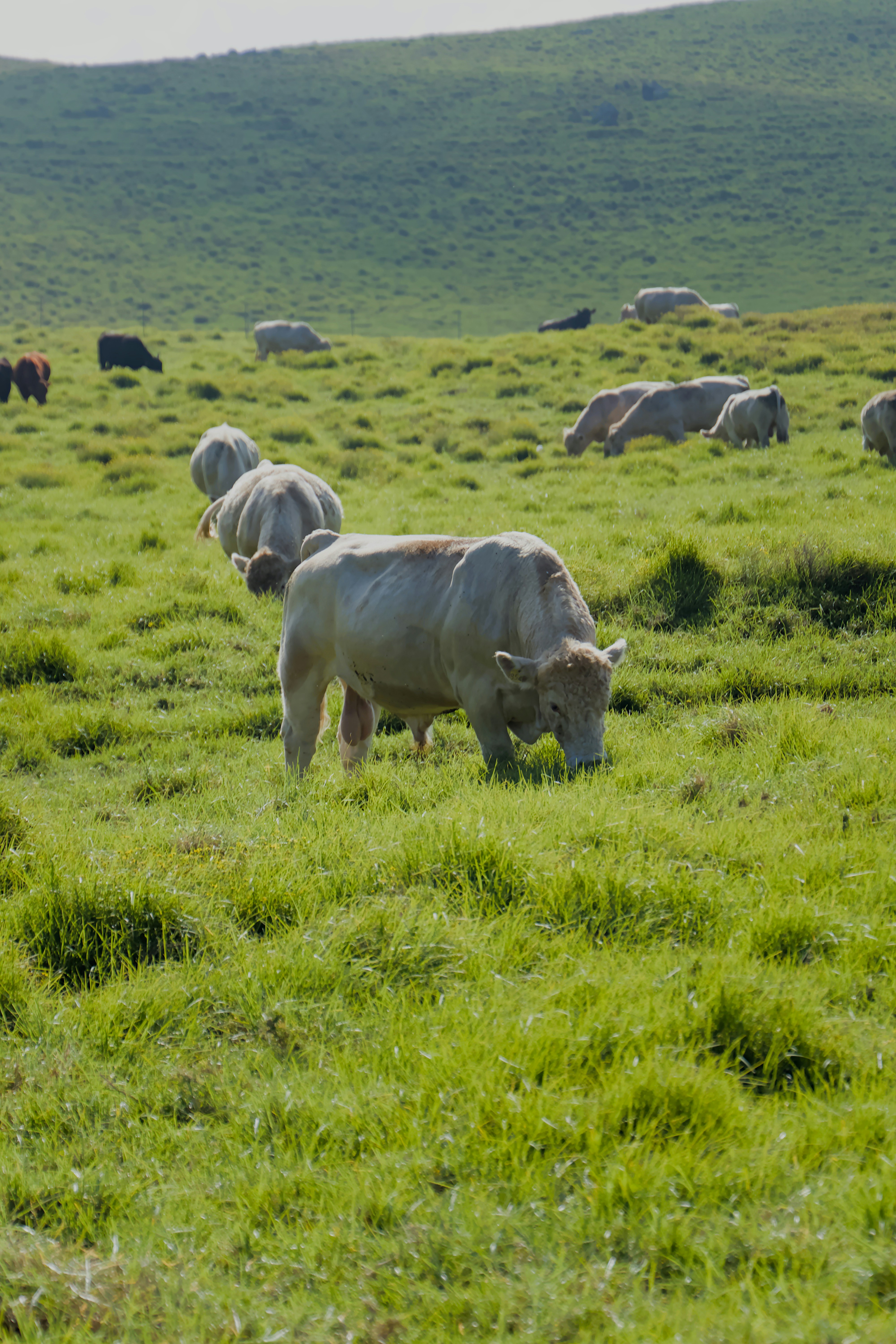 Photo by carbonmonoxide