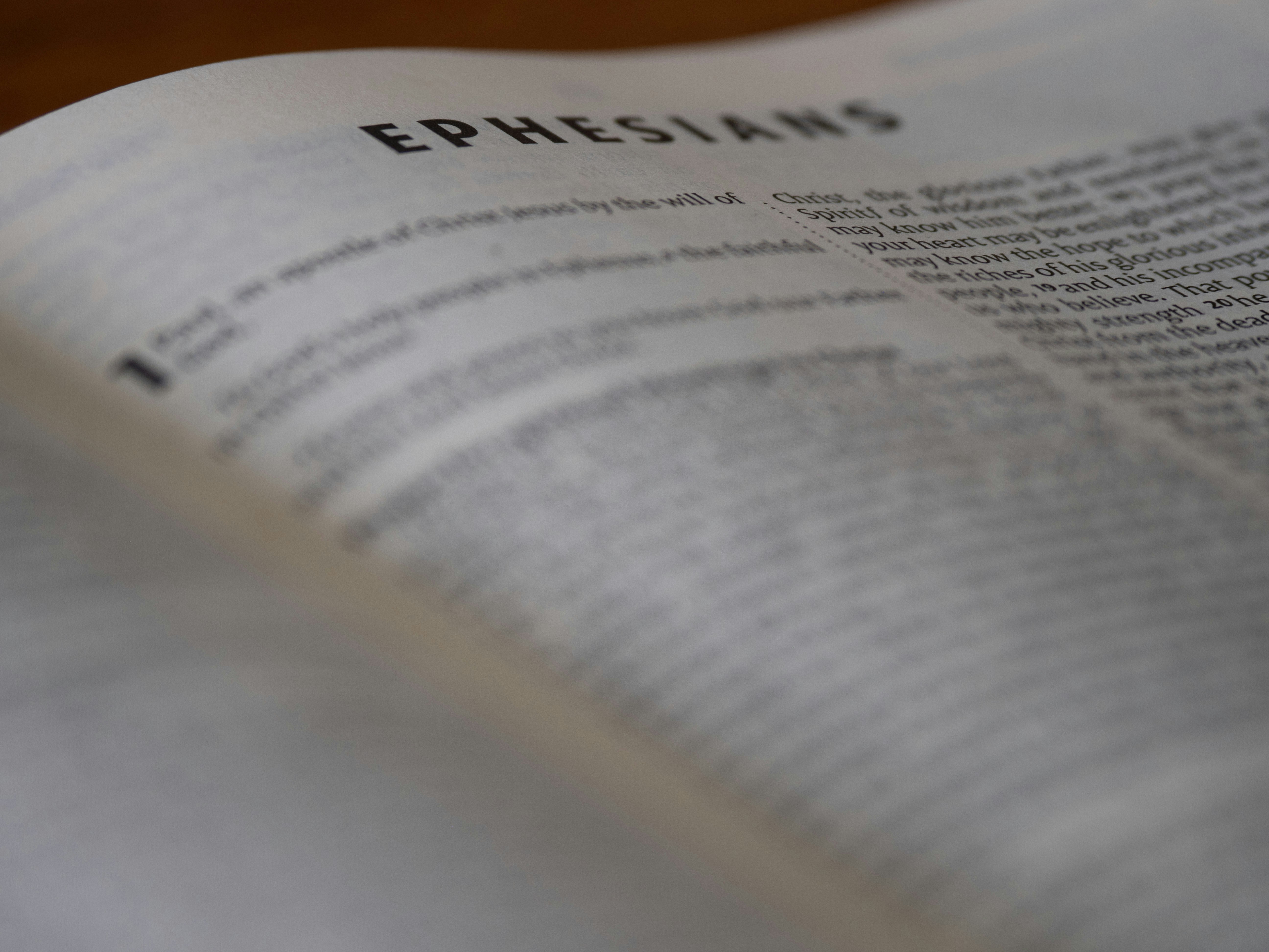 Photo by brett_jordan