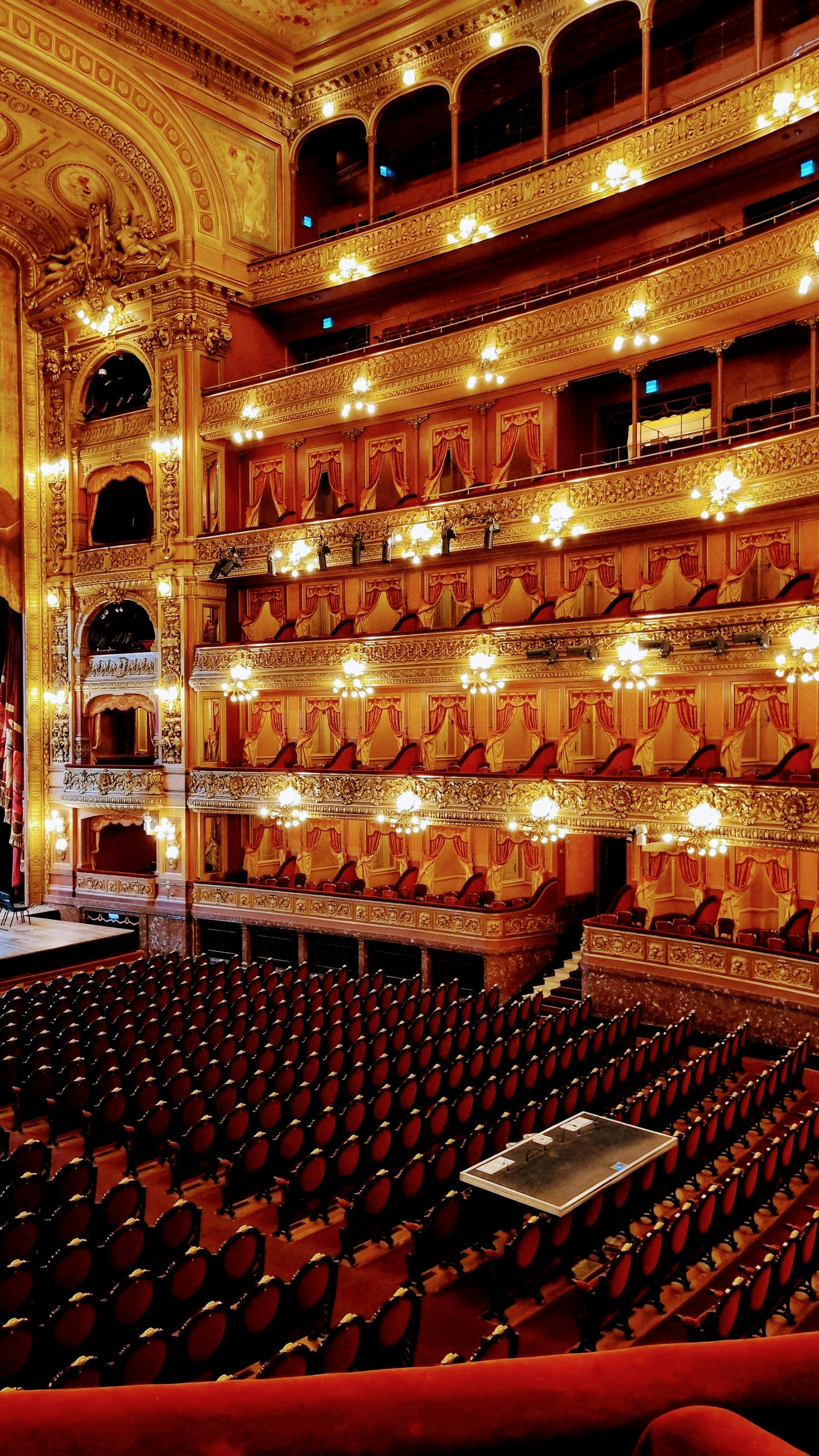 Photo by joao_rafael