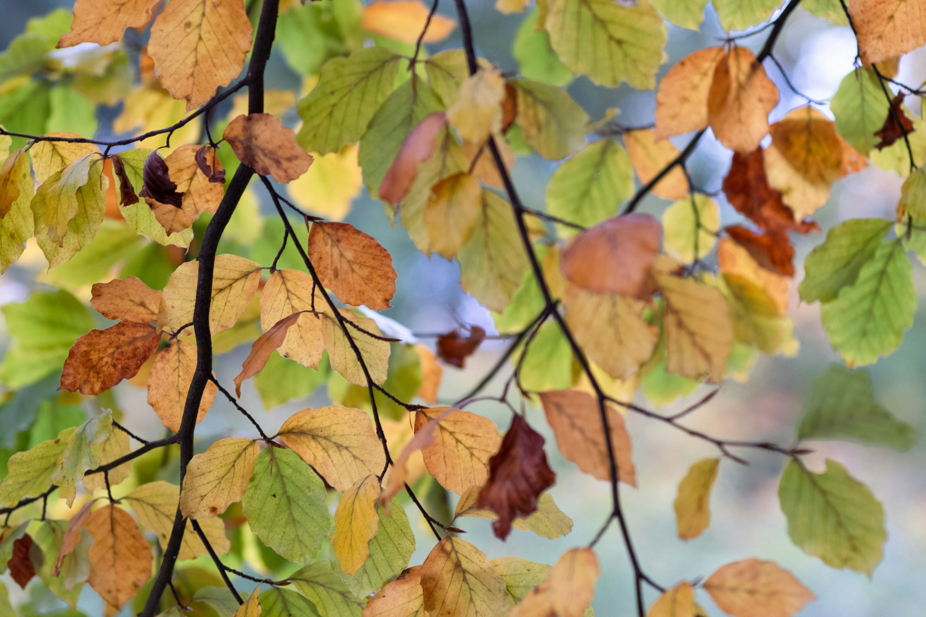 Photo by sevencolors