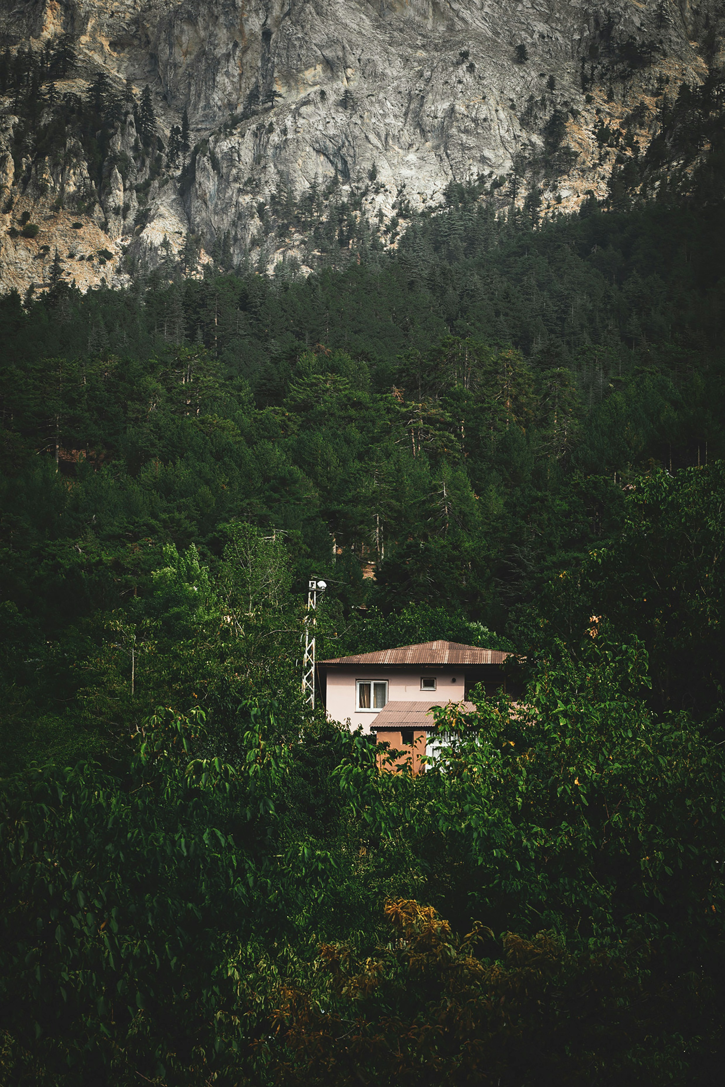 Photo by yarensphotoworks