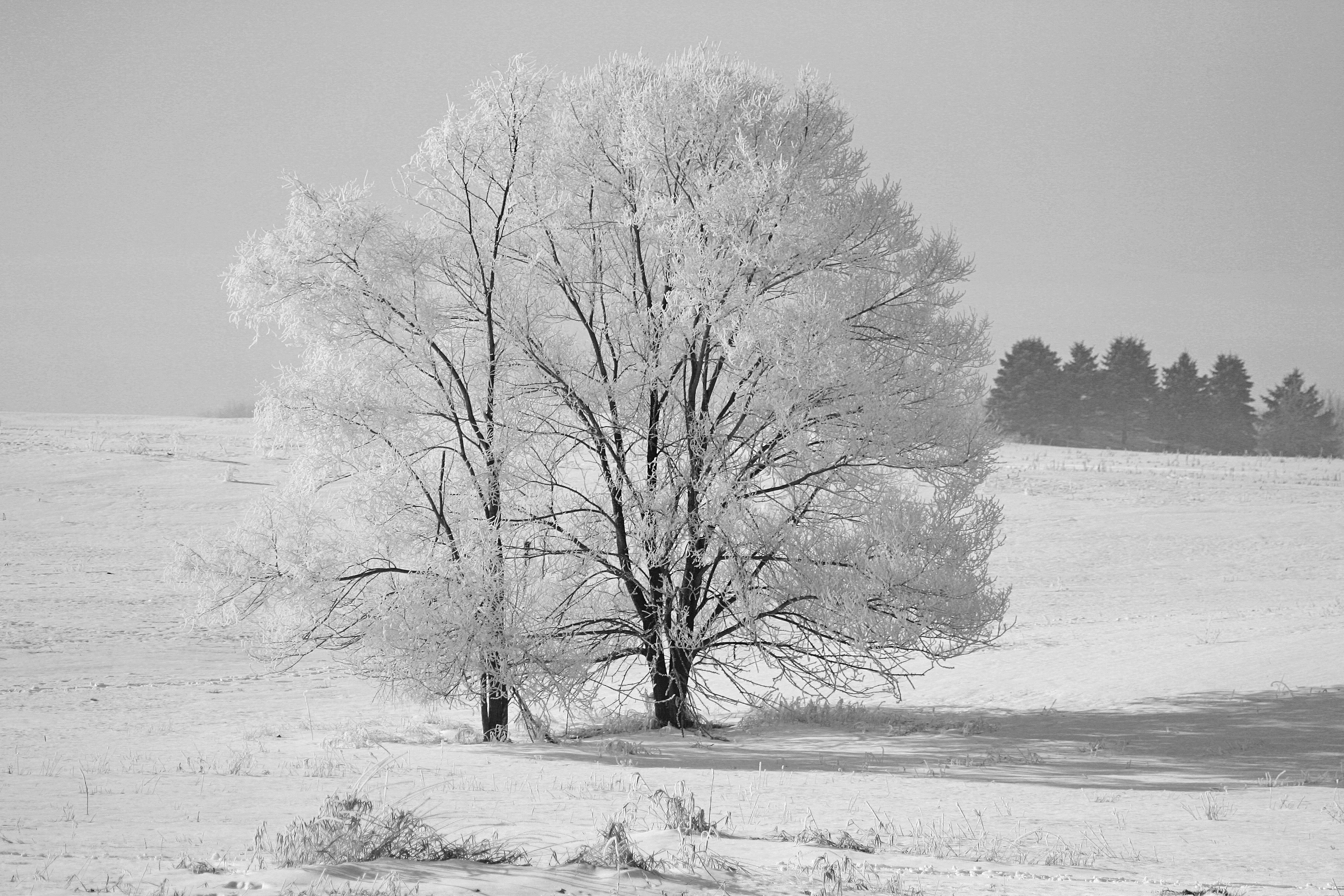 Photo by telliottmbamsc