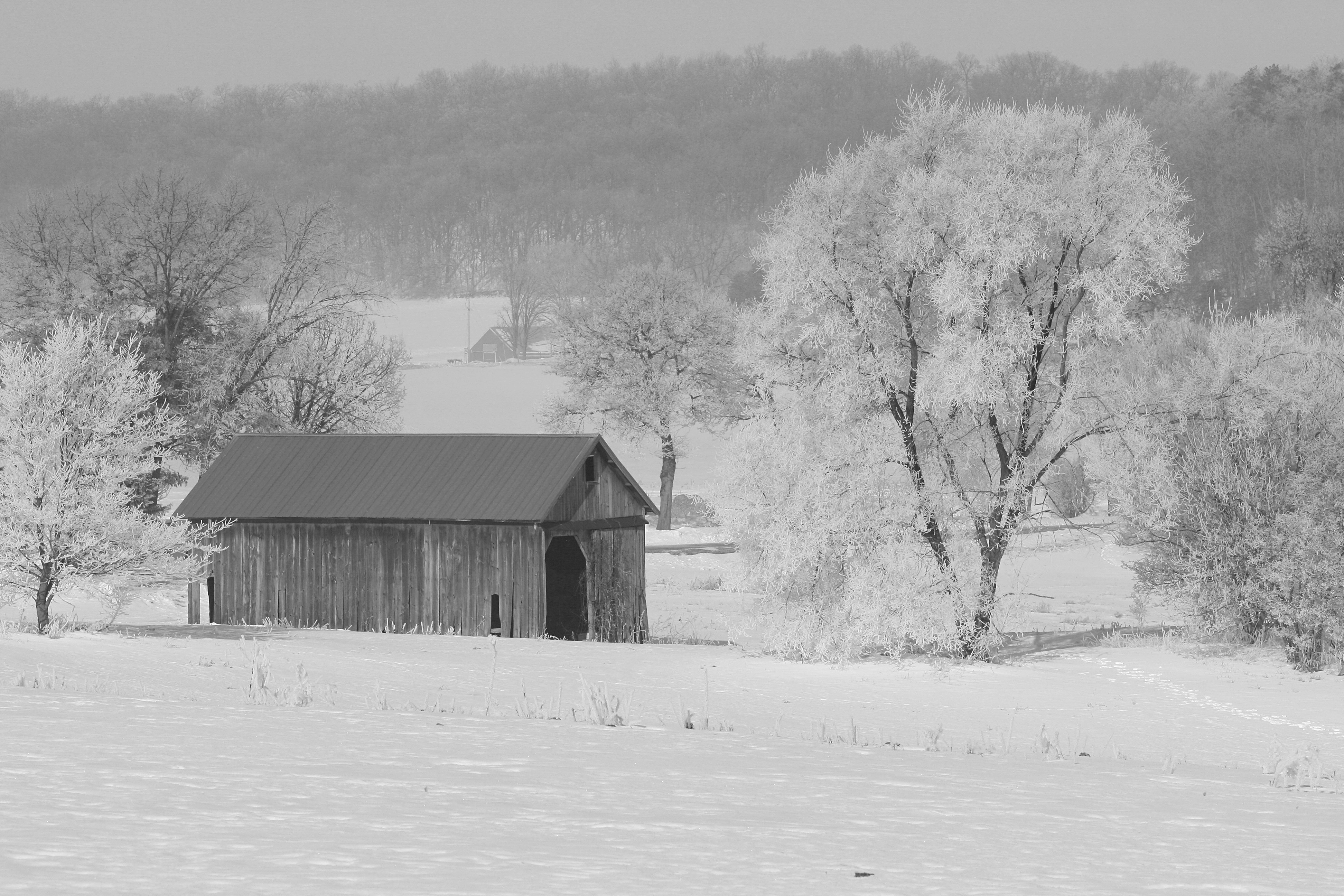 A black and white photo of a barn in the snow