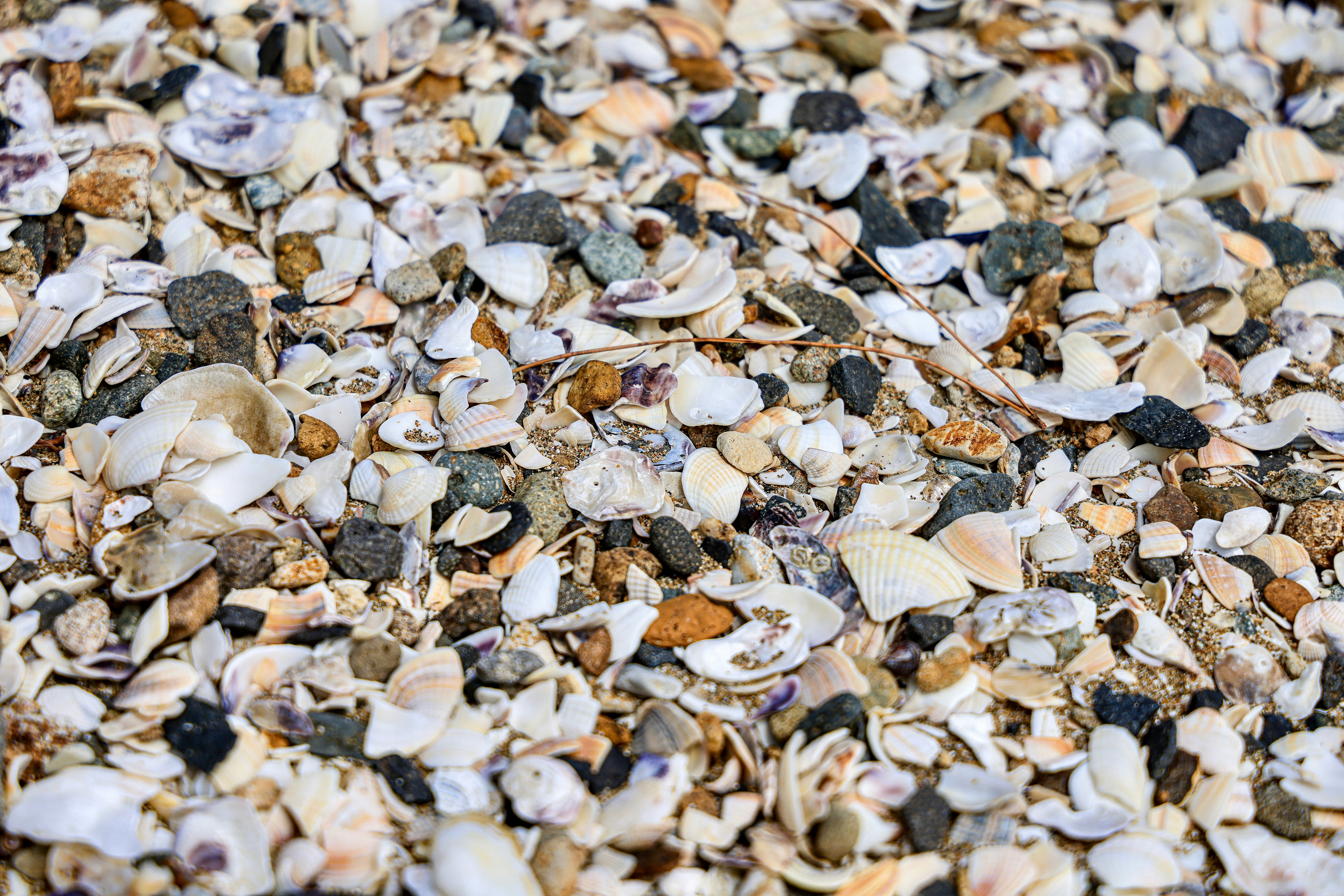 Photo by maximilian_brand