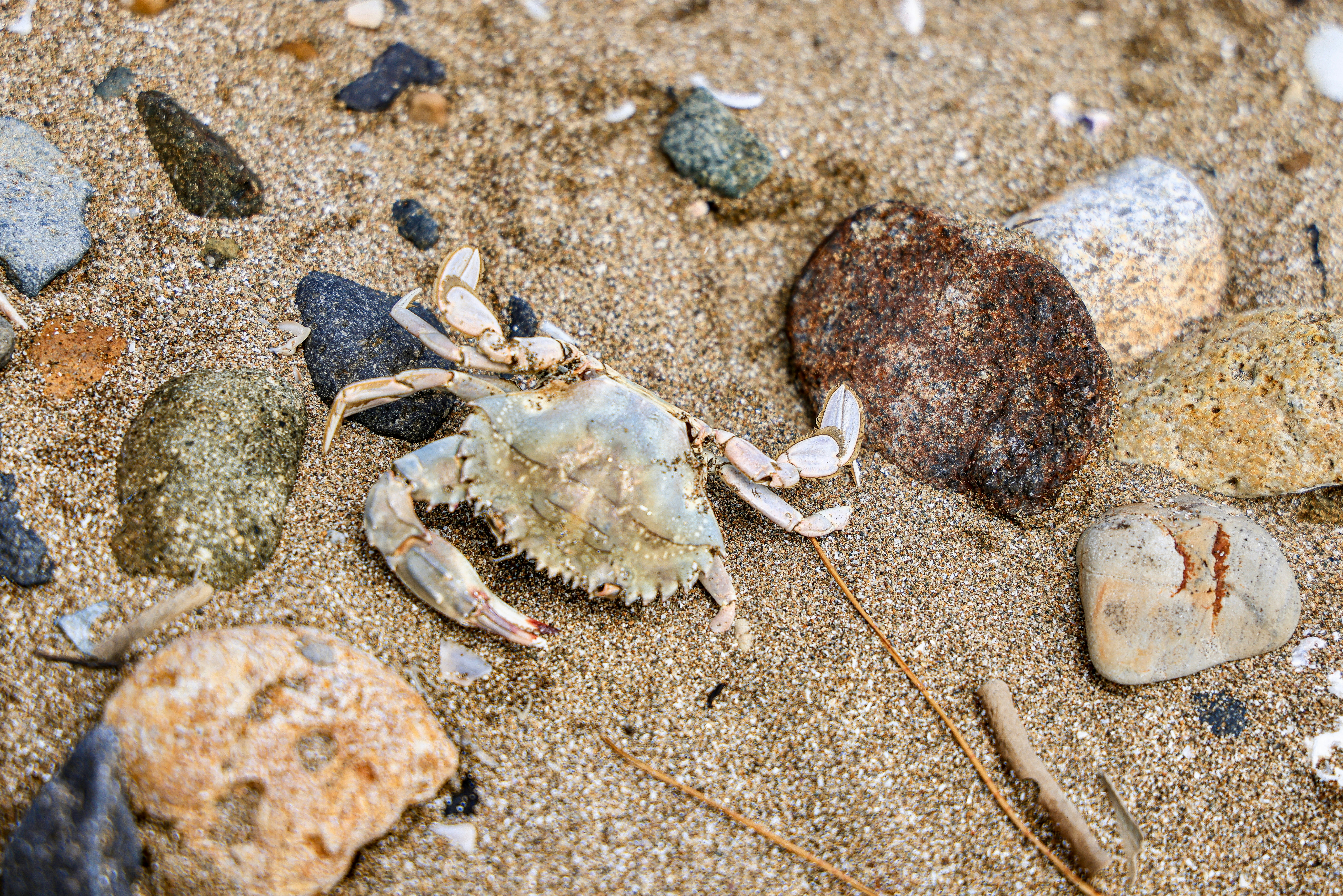 Photo by maximilian_brand