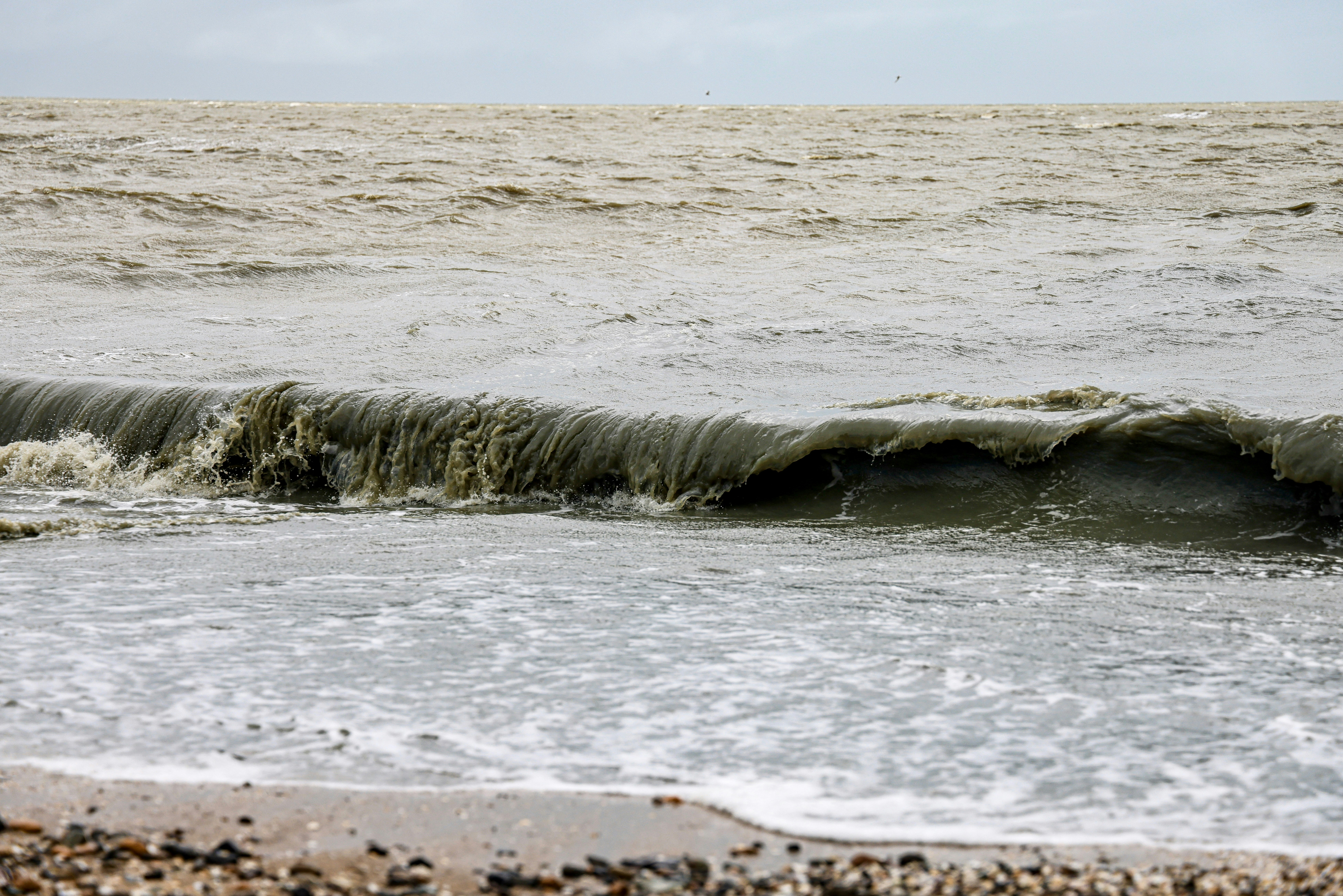 Photo by maximilian_brand