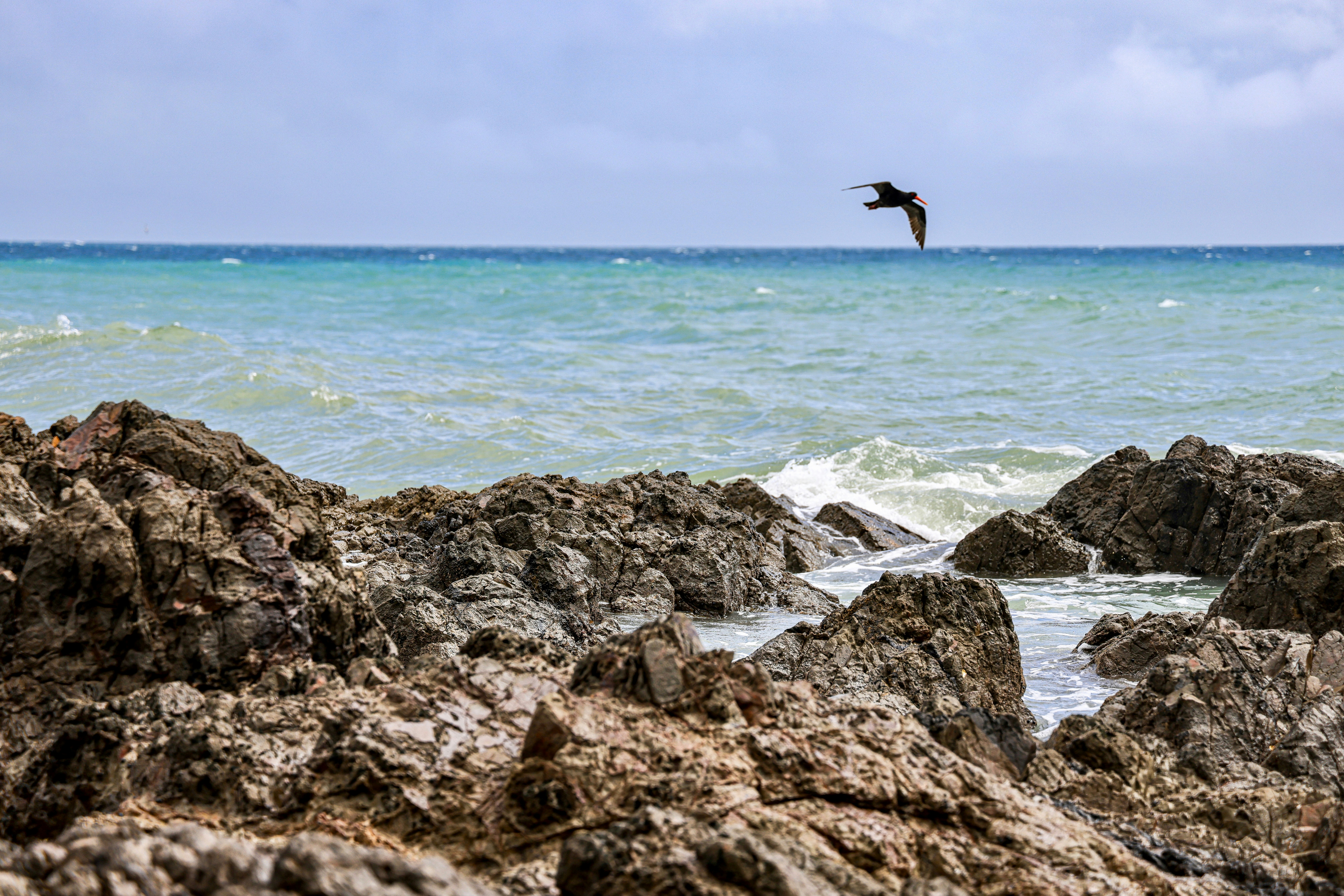 Photo by maximilian_brand