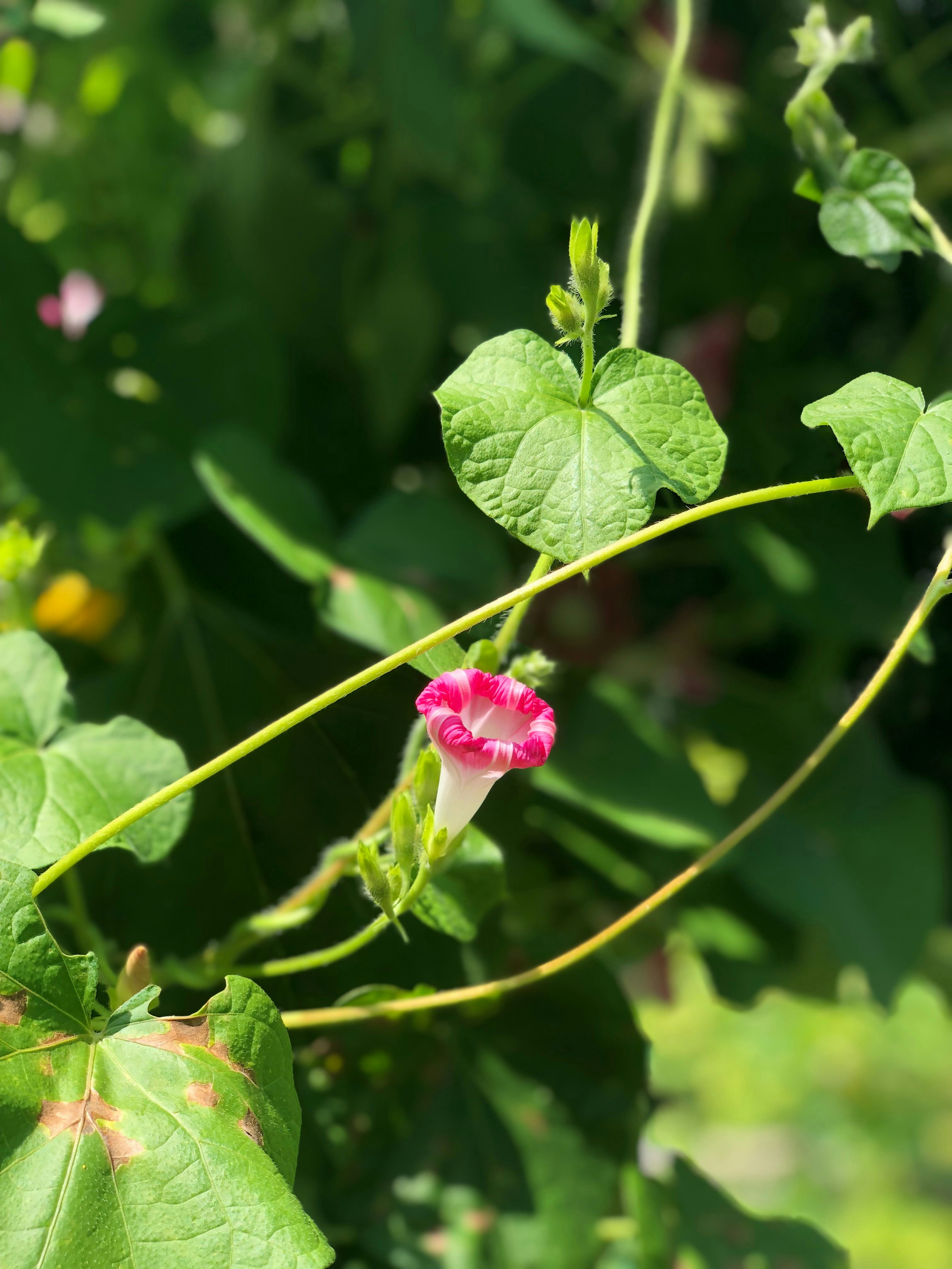 Photo by brooke_hansley_photography