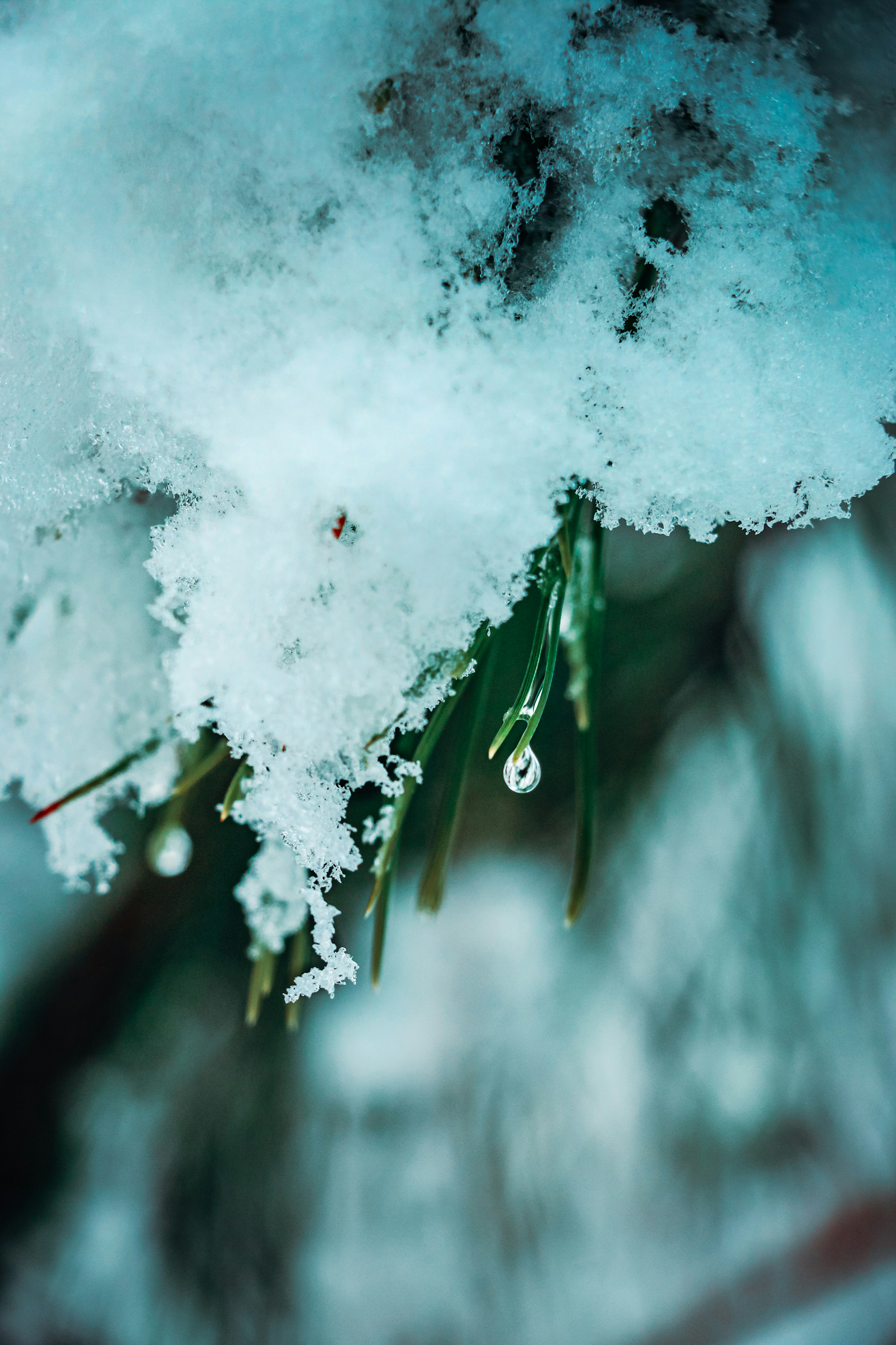 Photo by taralahroudy