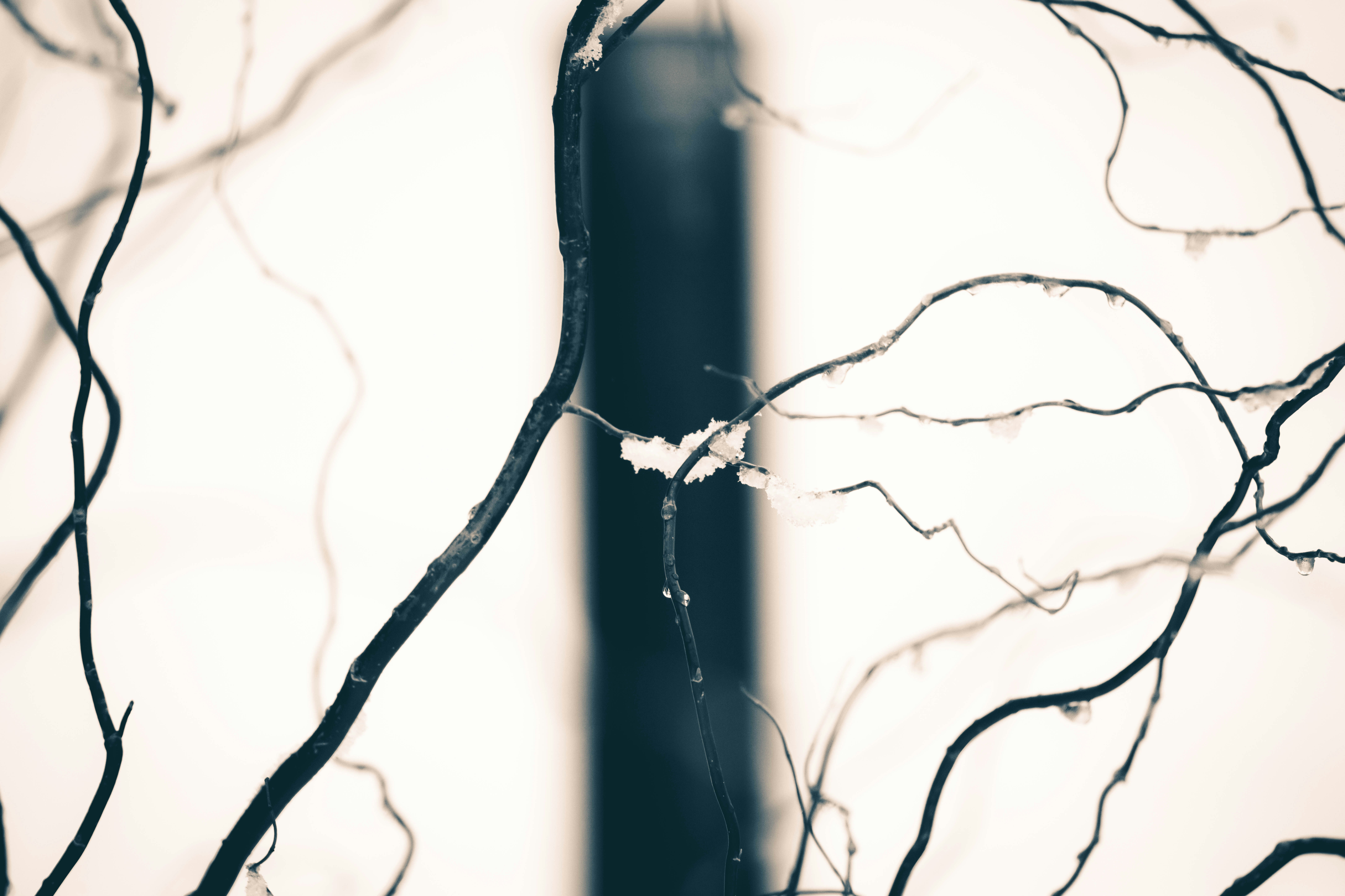 Photo by worldsbetweenlines