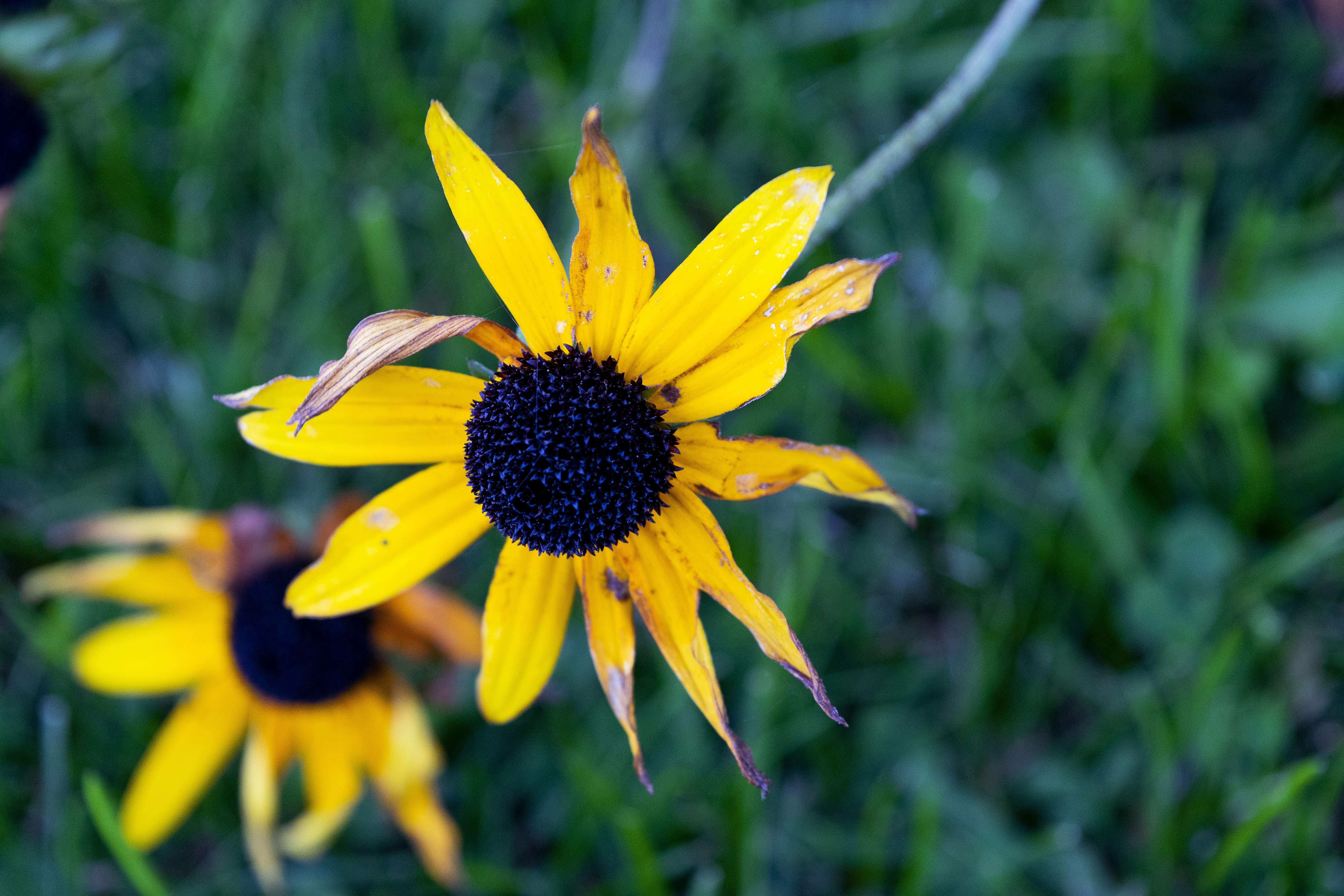 Photo by jessij_design