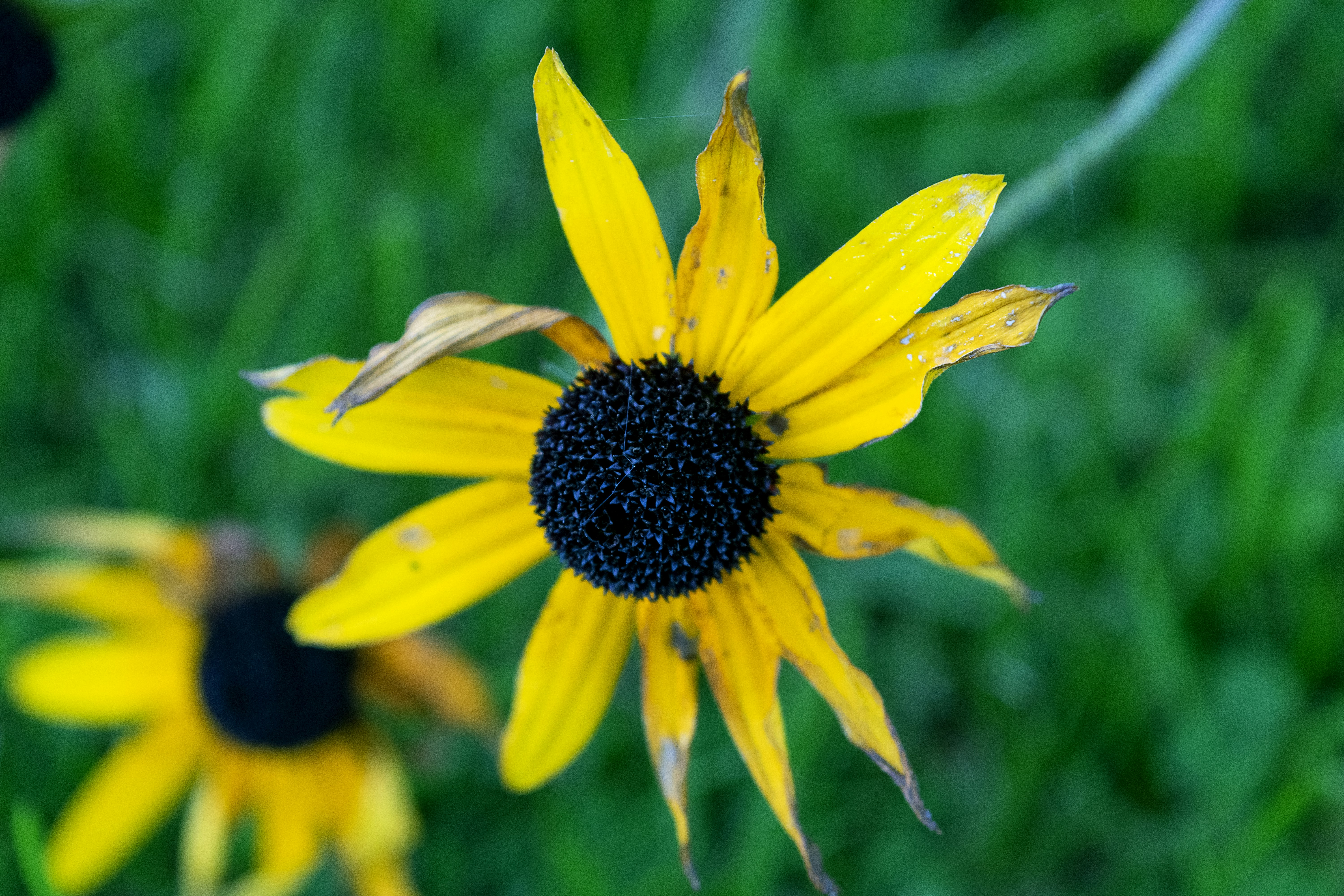 Photo by jessij_design