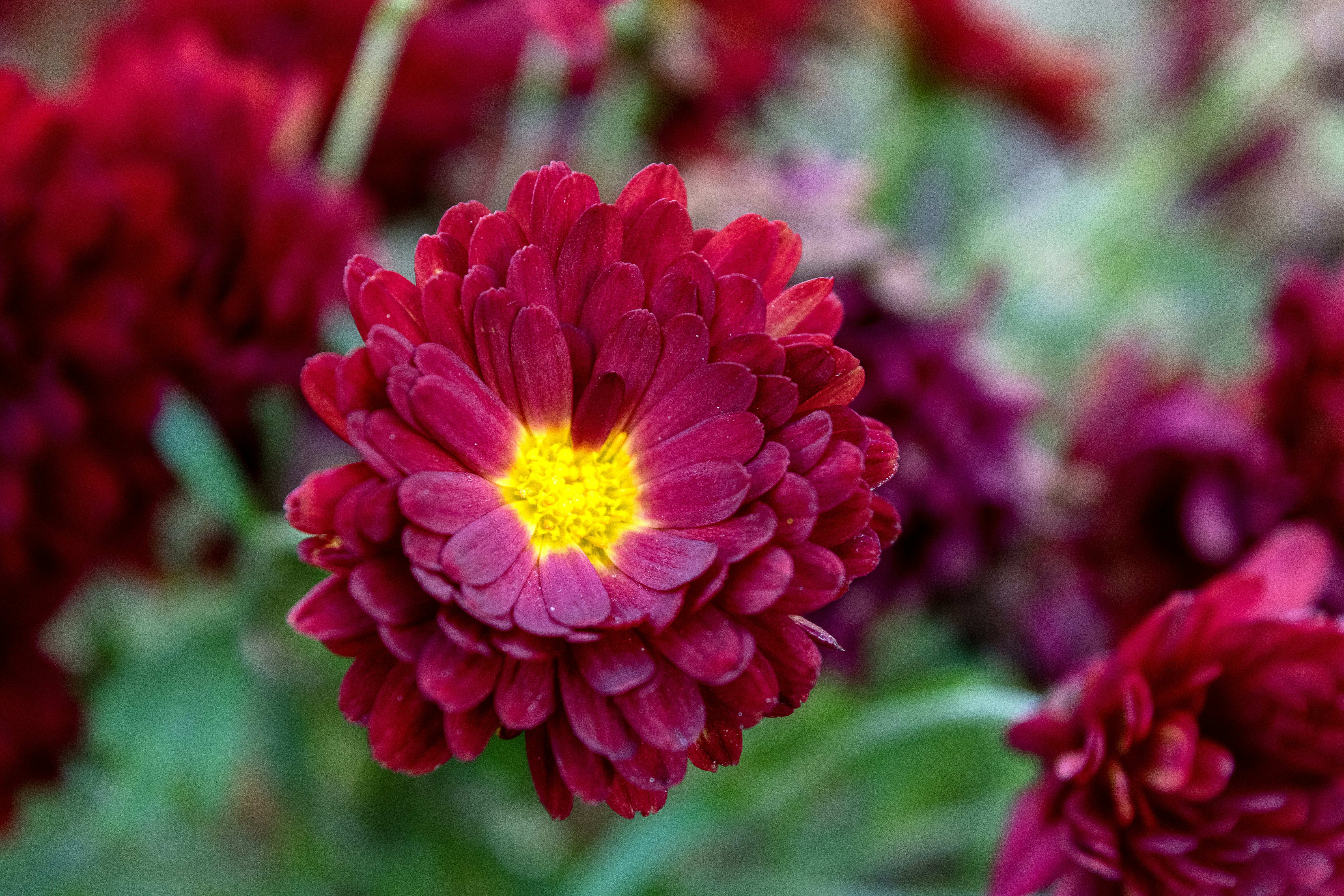 Photo by jessij_design