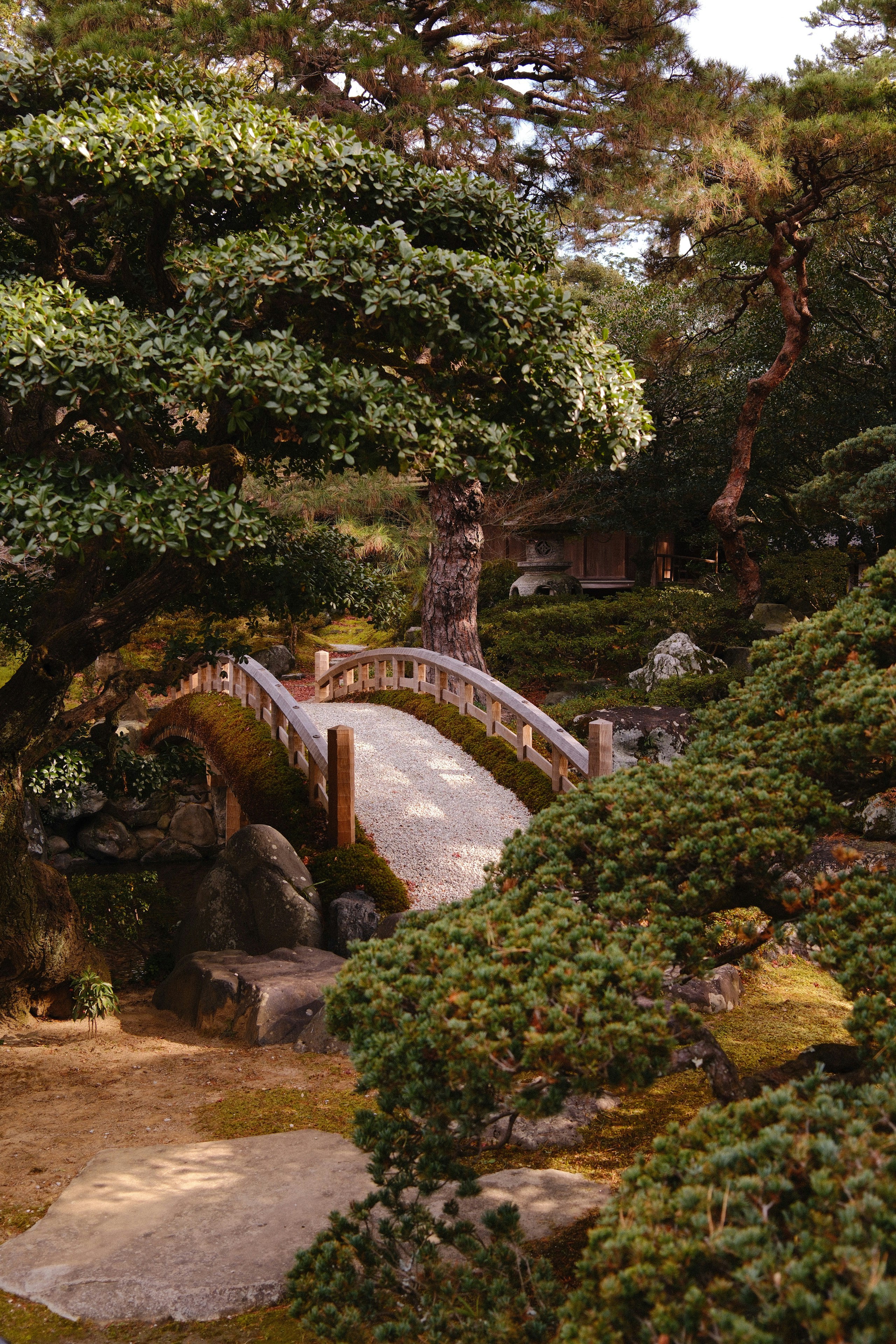 Photo by jackseeberryphoto